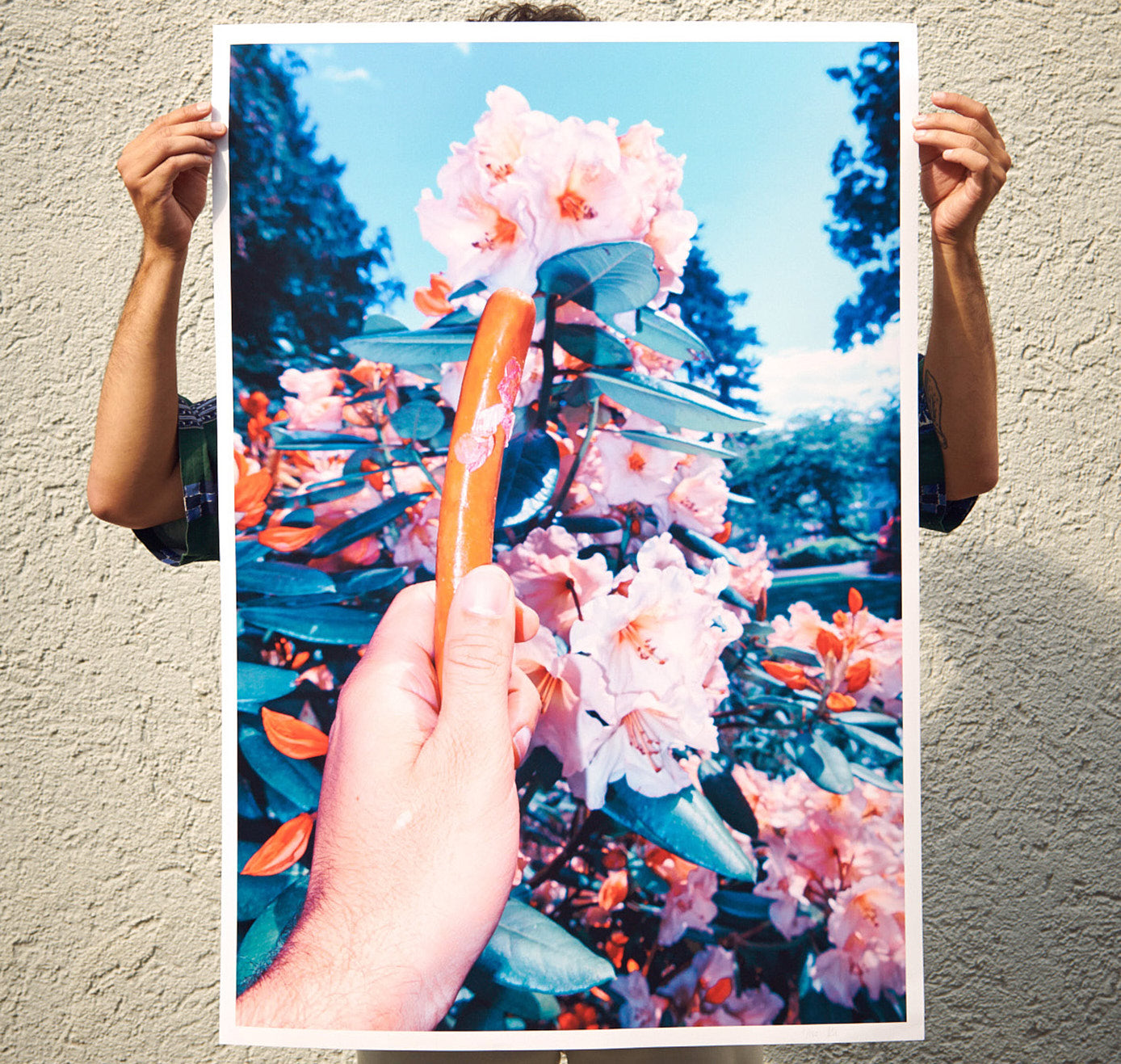 Edition3000 - Offset Print von Aso Mohammadi "Wienerli" (5 Stück)