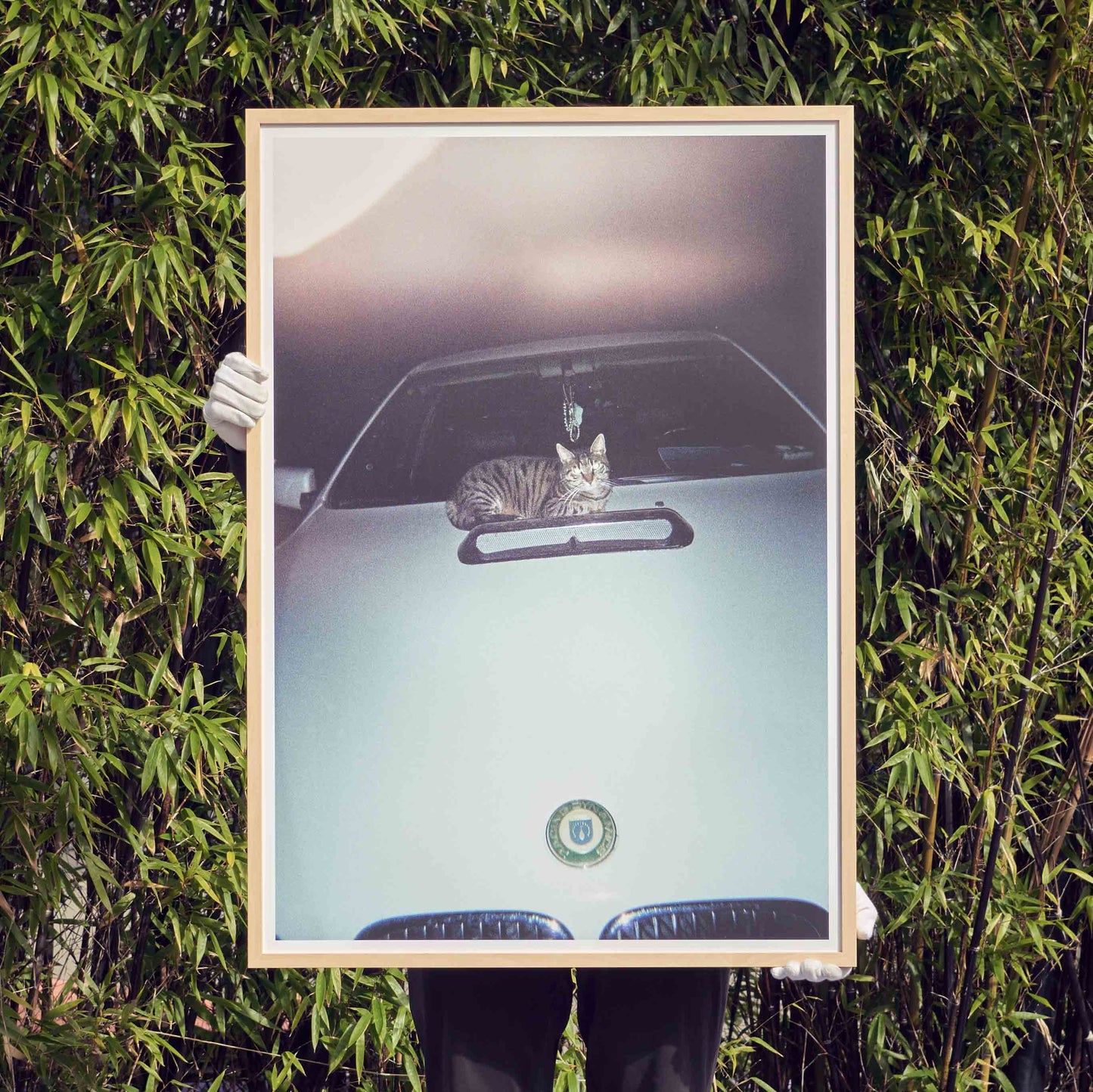 Edition3000 - Plakat "Analog 4" (5 Stück)