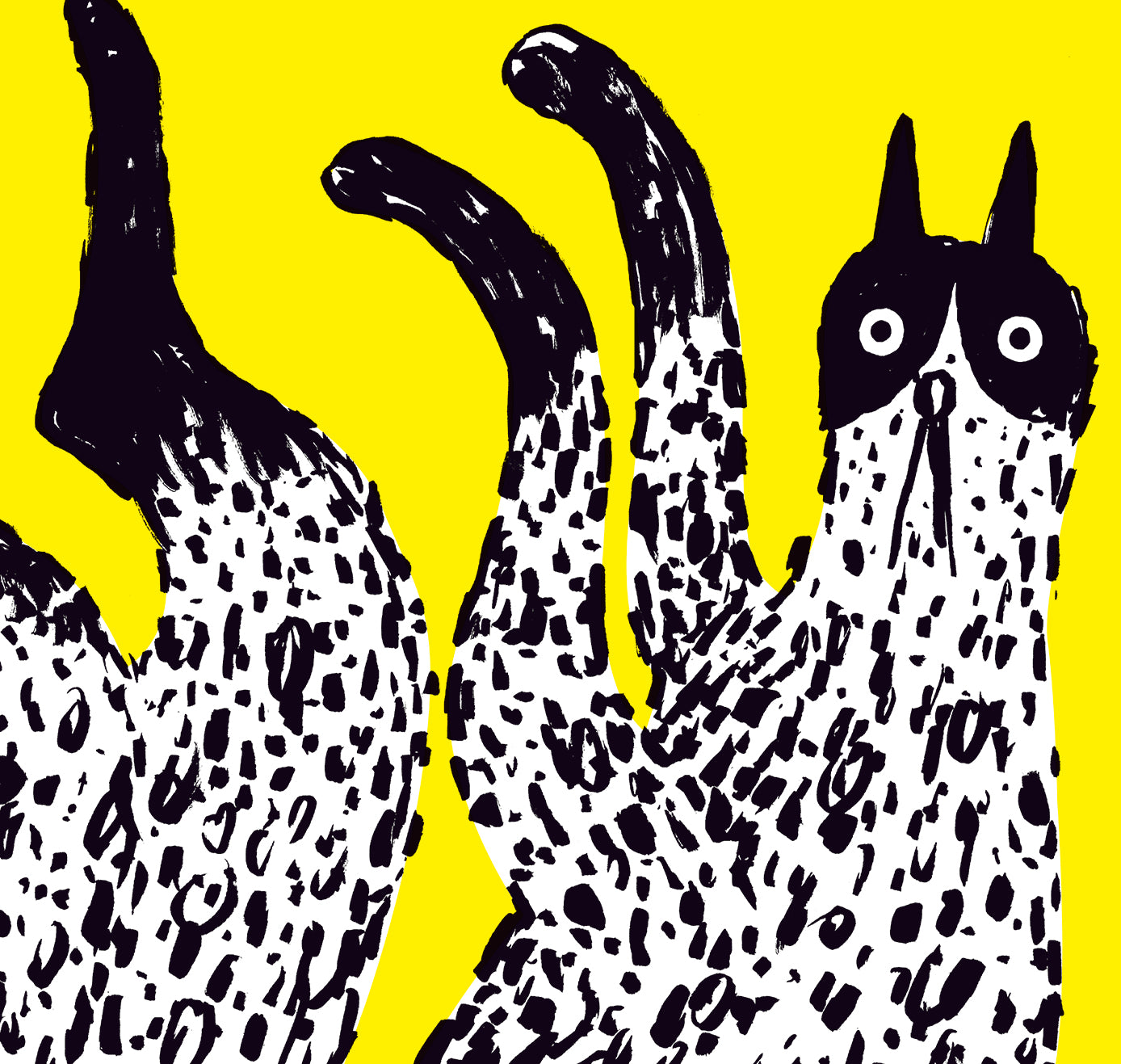 Anna-Lisa Schneeberger - Plakat "Katze 3" (5 Stück)