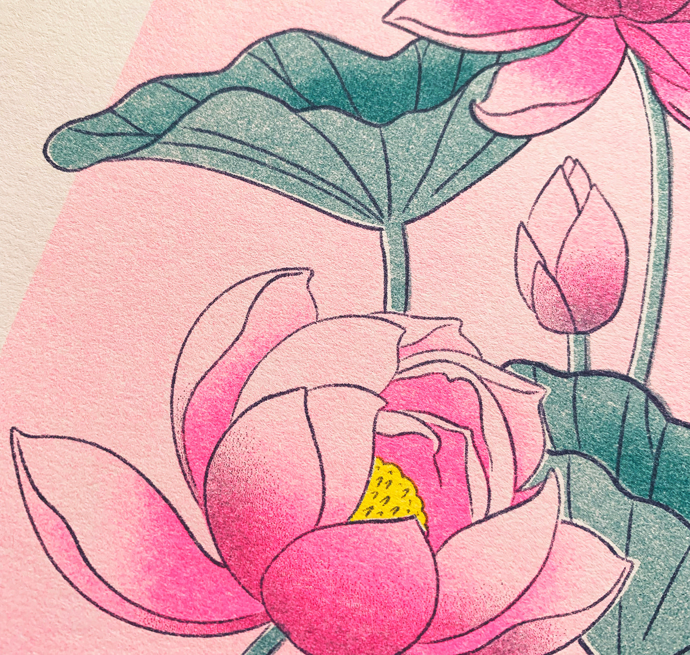 Laura LOW - Plakat "Lotus" (5 Stück)
