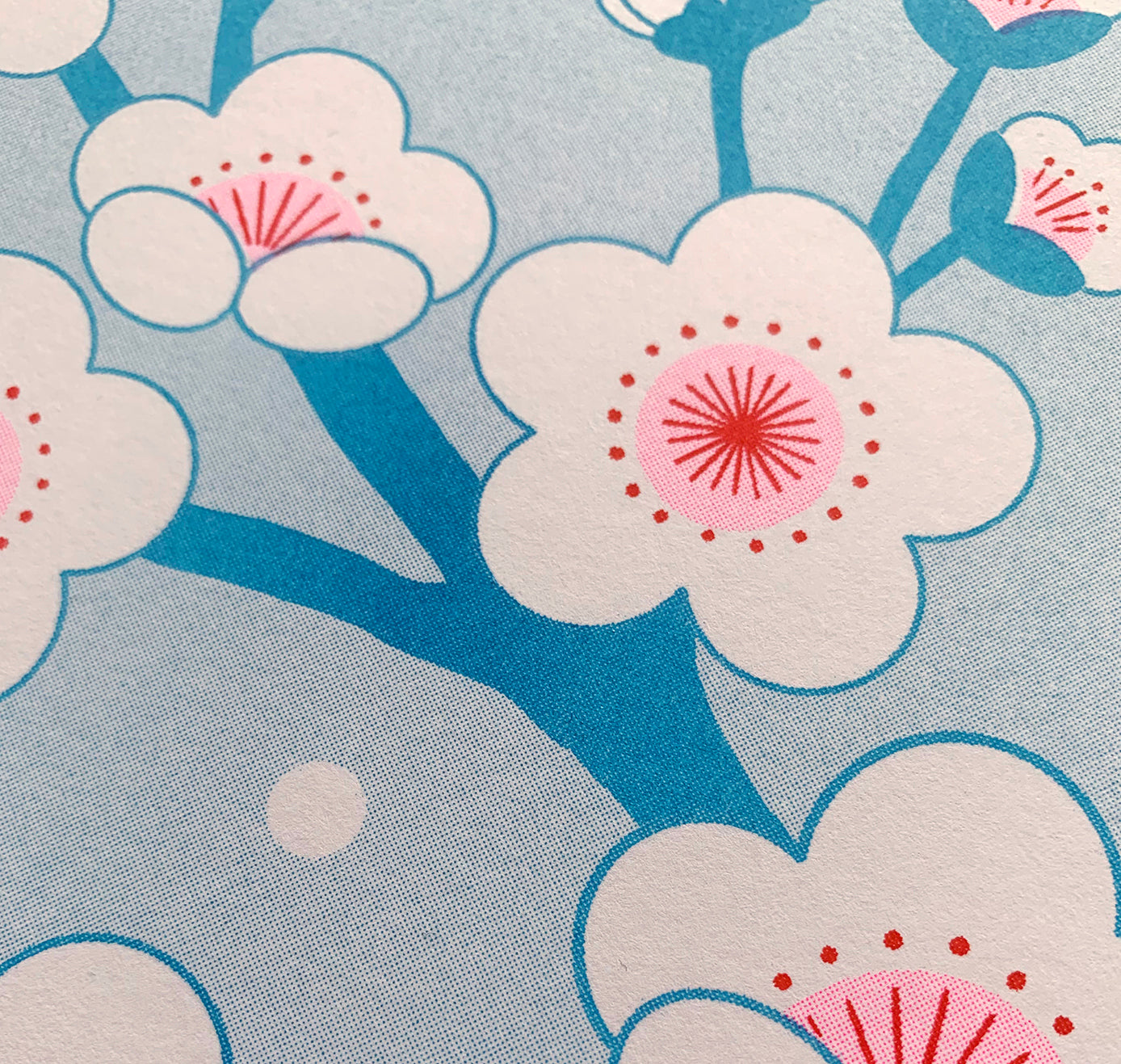 Laura LOW - Plakat "Plum Tree" (5 Stück)