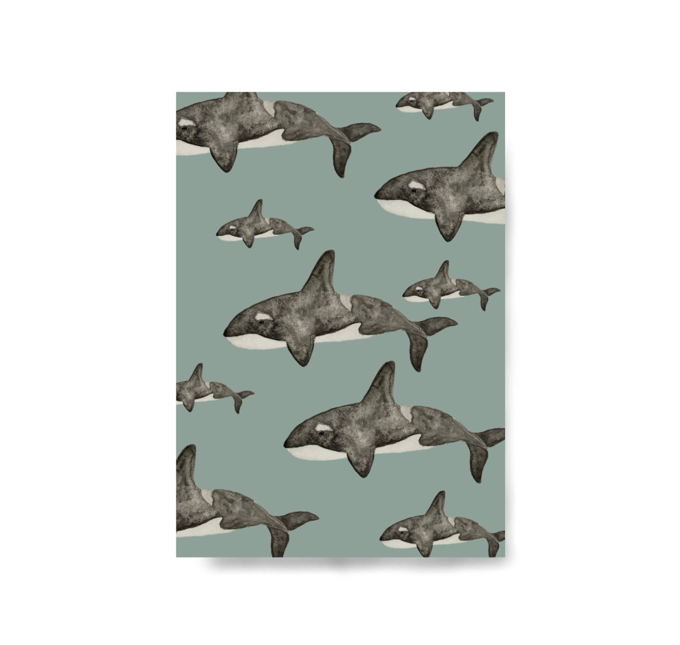 Karin Lena Schmid - Postkarte "Orcas" (5 Stück)