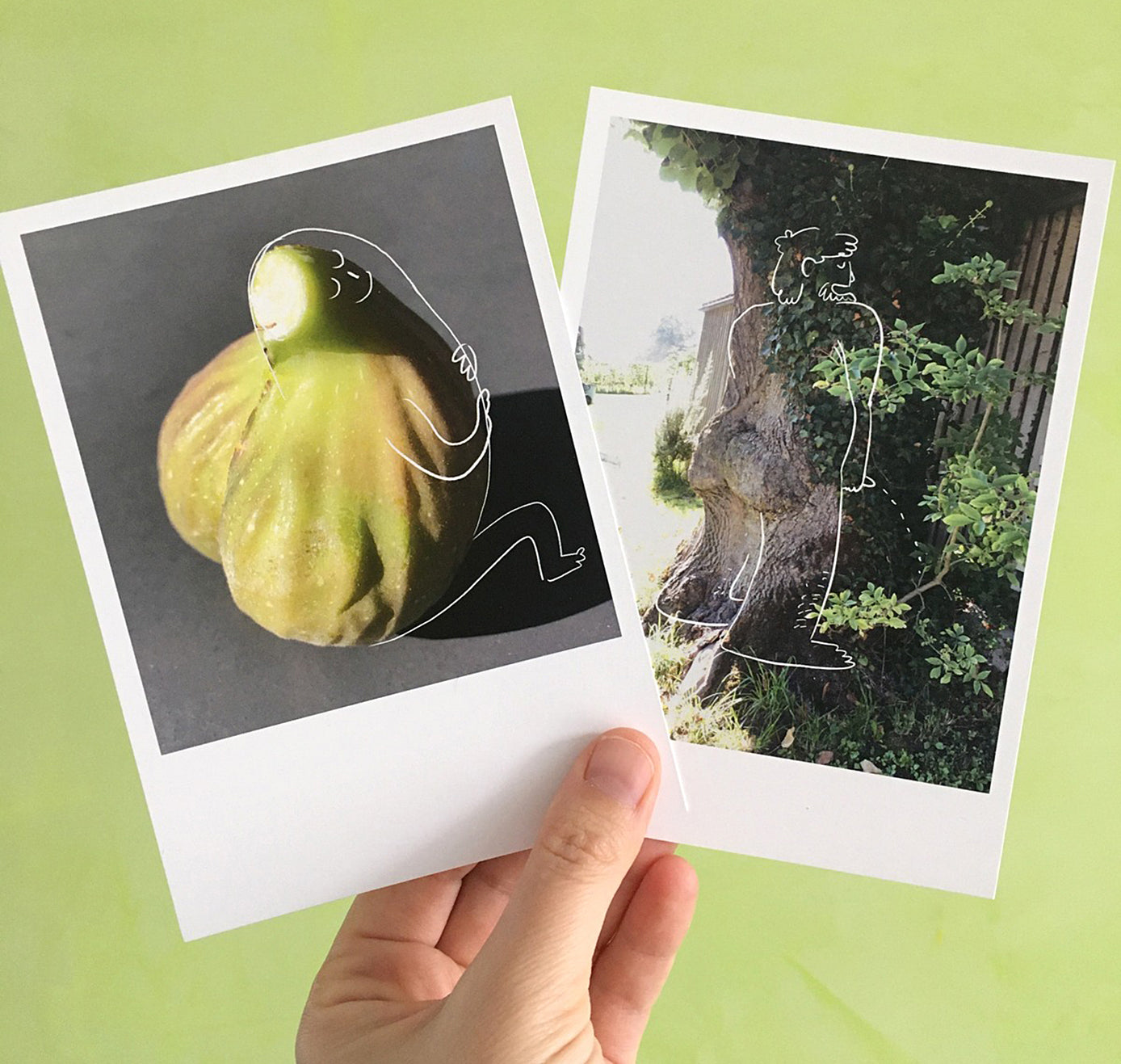 Rina Jost - Postkartenset "Füdli" - 5 Arschkarten (5 Stück)