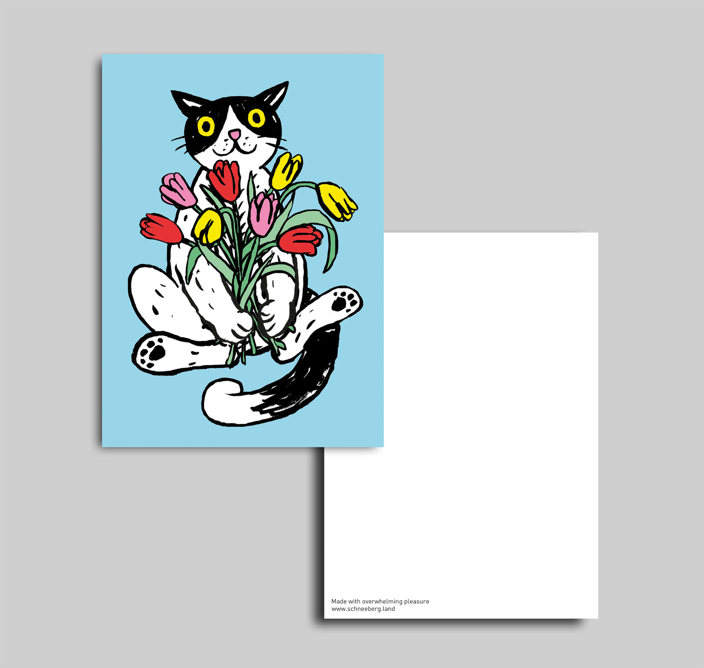 Anna-Lisa Schneeberger - Postkarte "Büsi mit Tulpen" (5 Stück)