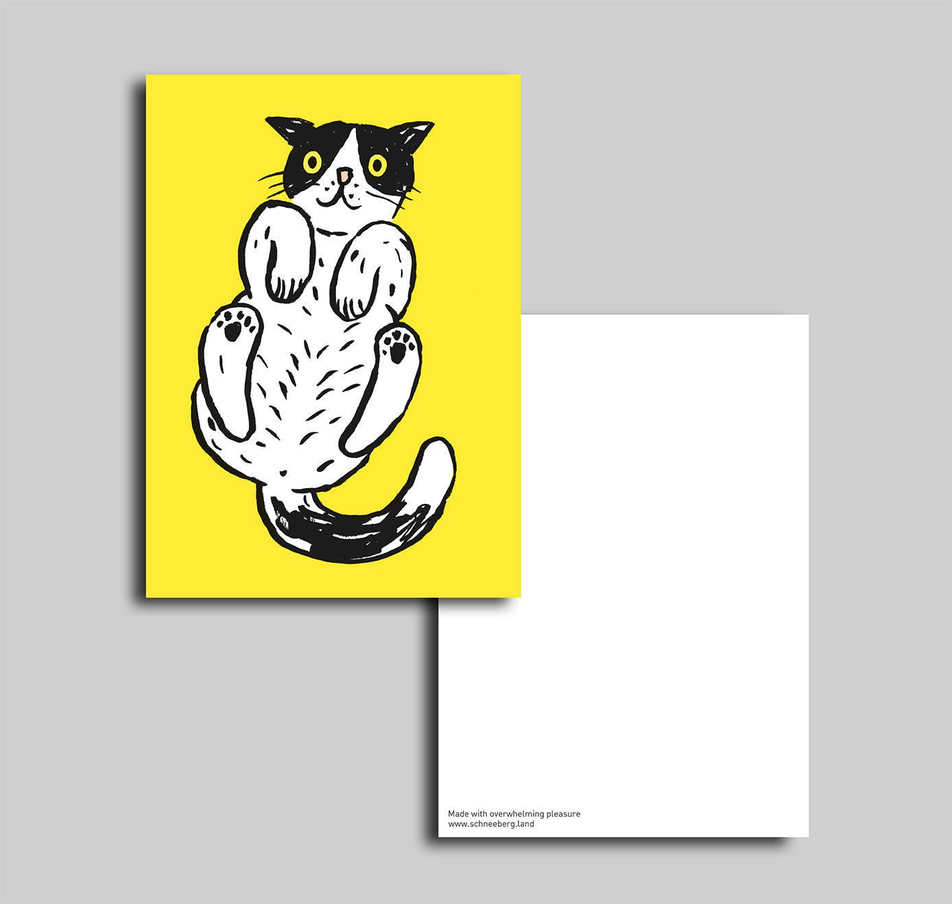 Anna-Lisa Schneeberger - Postkarte "Büsi" (5 Stück)