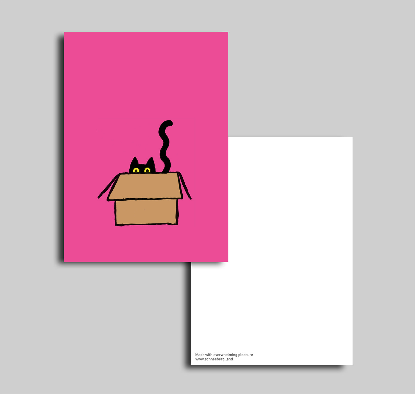 Anna-Lisa Schneeberger - Postkarte "Cat in a box" (5 Stück)