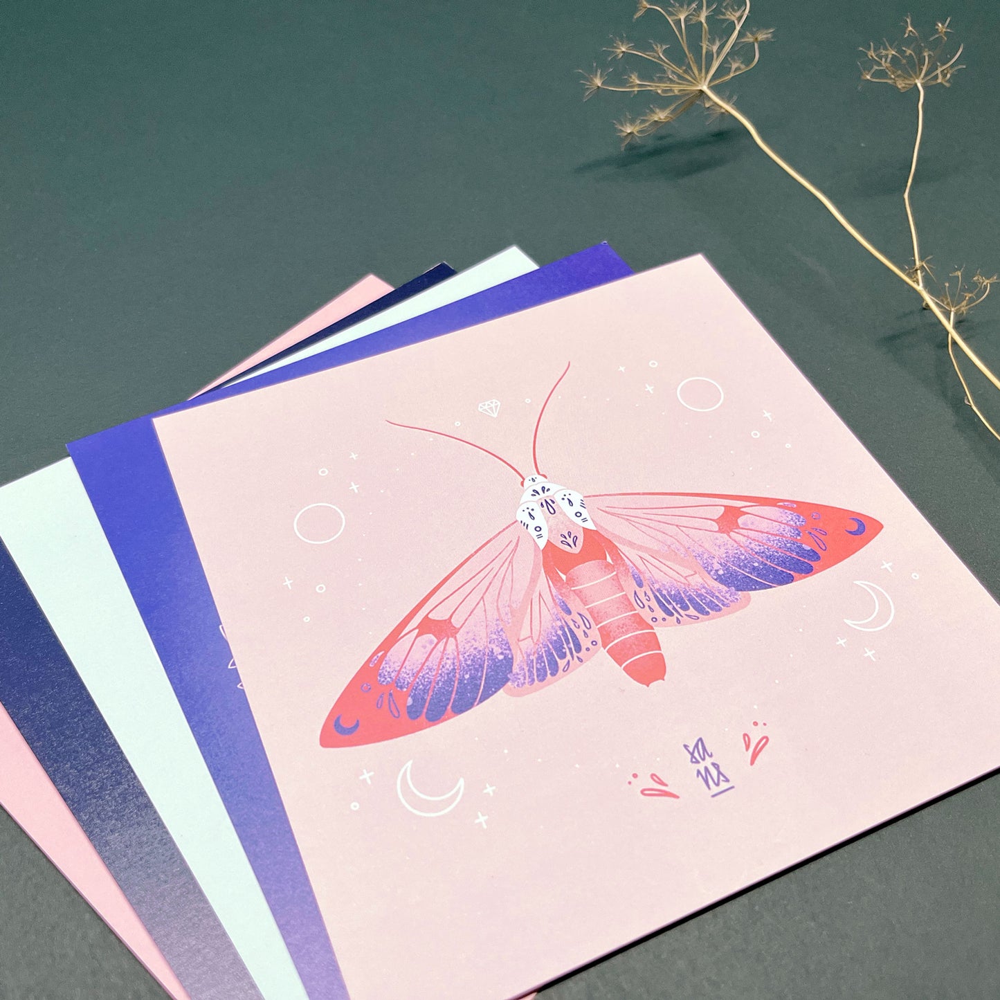 Sandra Staub - Postkartenset "Moths" (5 Stück)