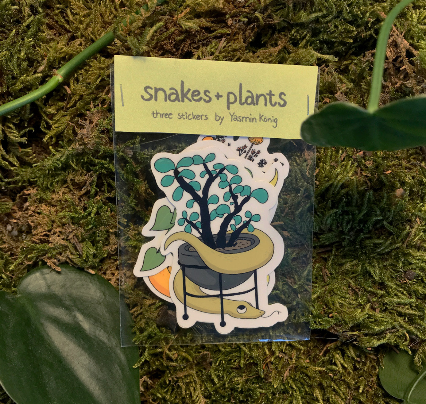 Yasmin König - Vinyl Sticker Set
"Snake & Plants" (5 Stück)