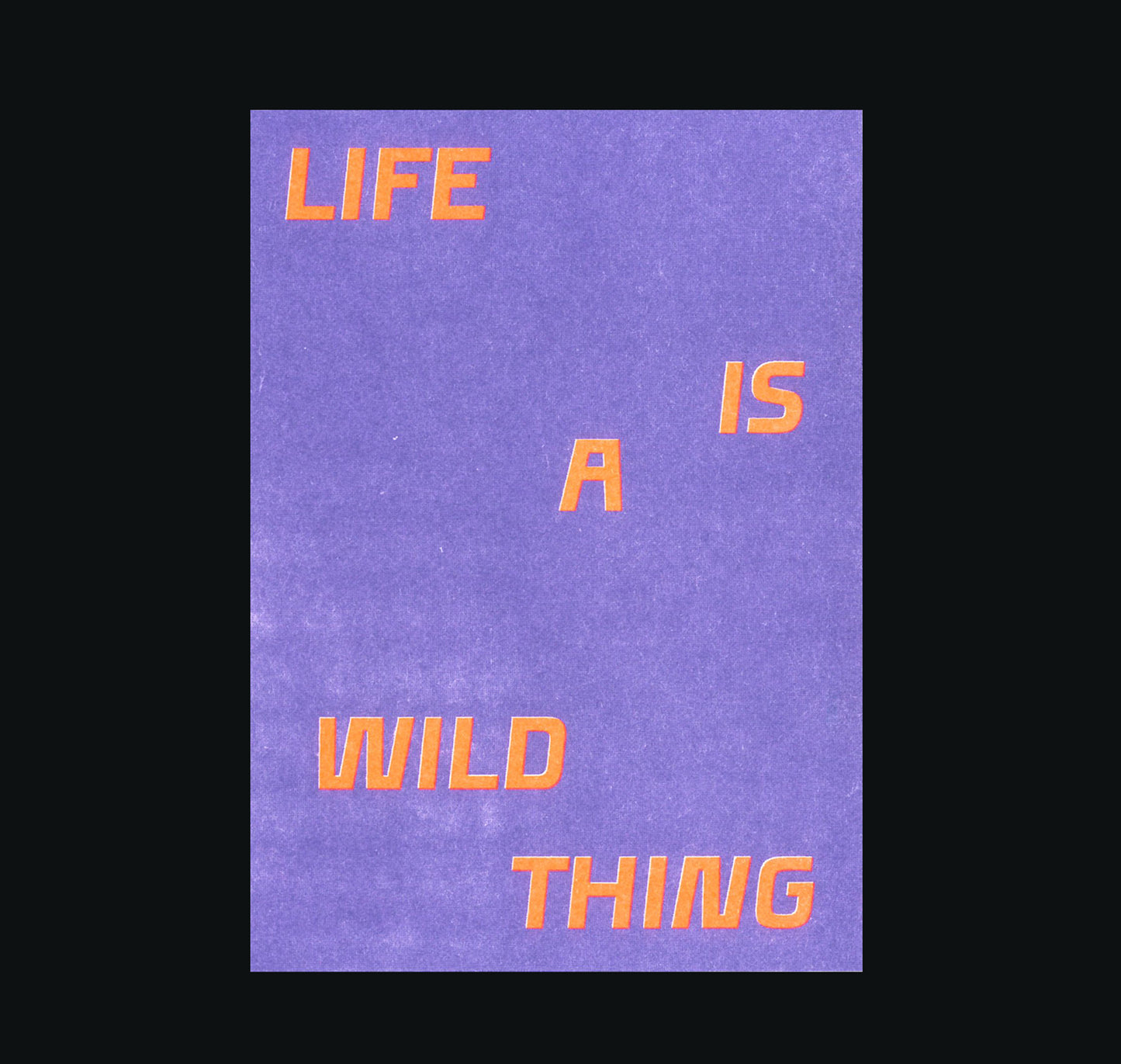 Studio Bitzi - Karte "Life is a wild thing" (5 Stück)