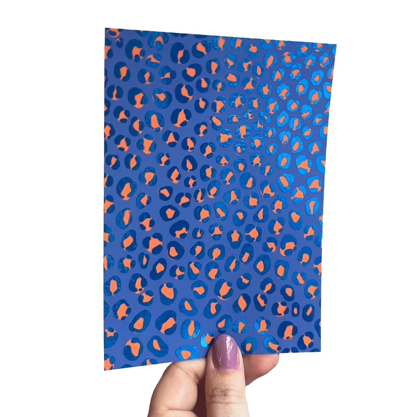 Jolanda Epprecht - Postkarte "Leo Muster Blau" (5 Stück)