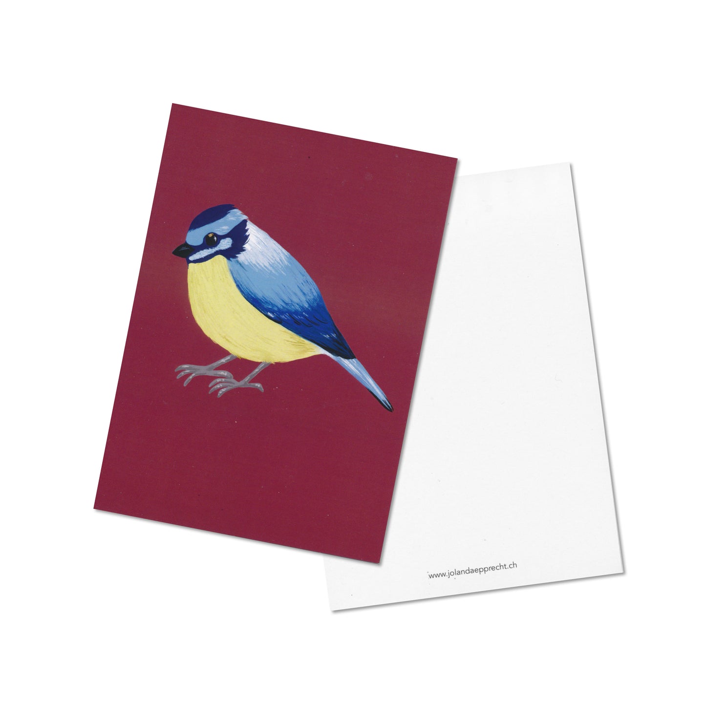 Jolanda Epprecht - Postkarte "Blaumeise" (5 Stück)