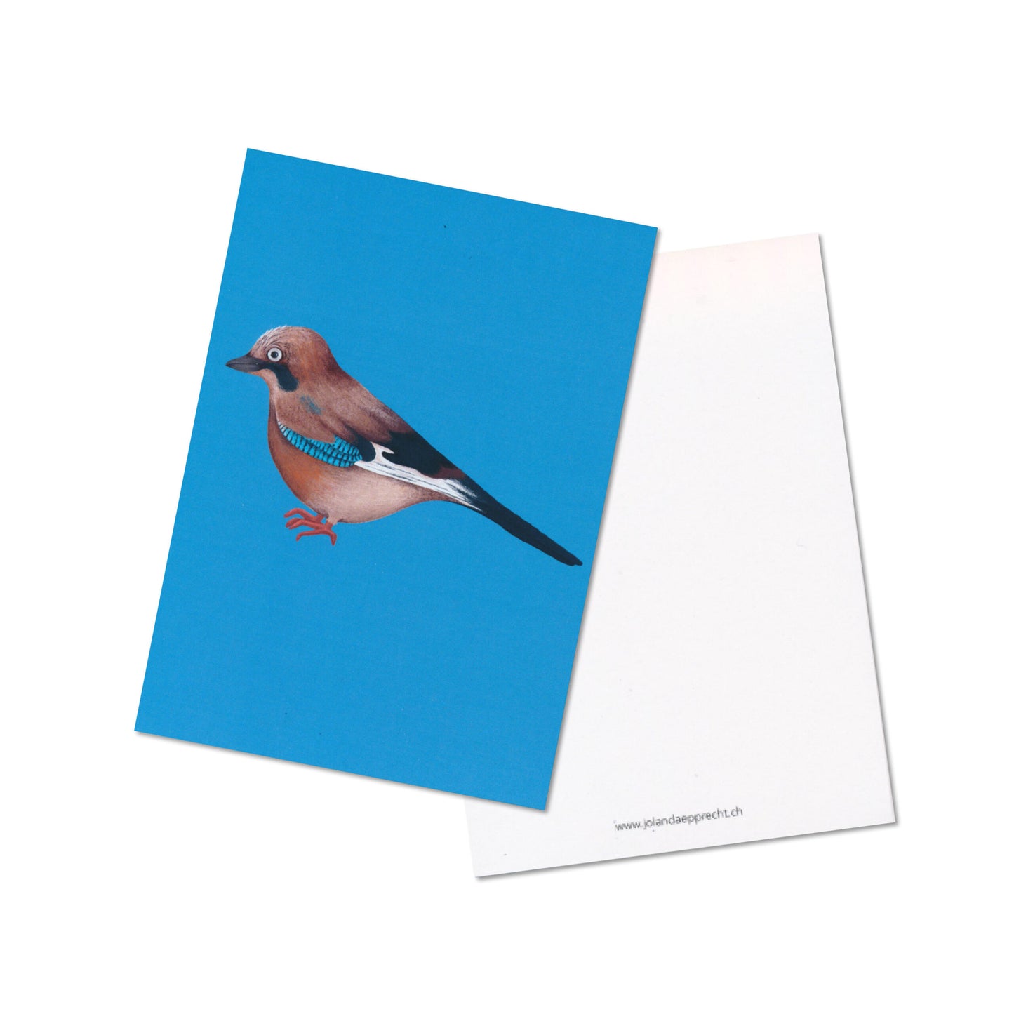 Jolanda Epprecht - Postkarte "Eichelhäher" (5 Stück)