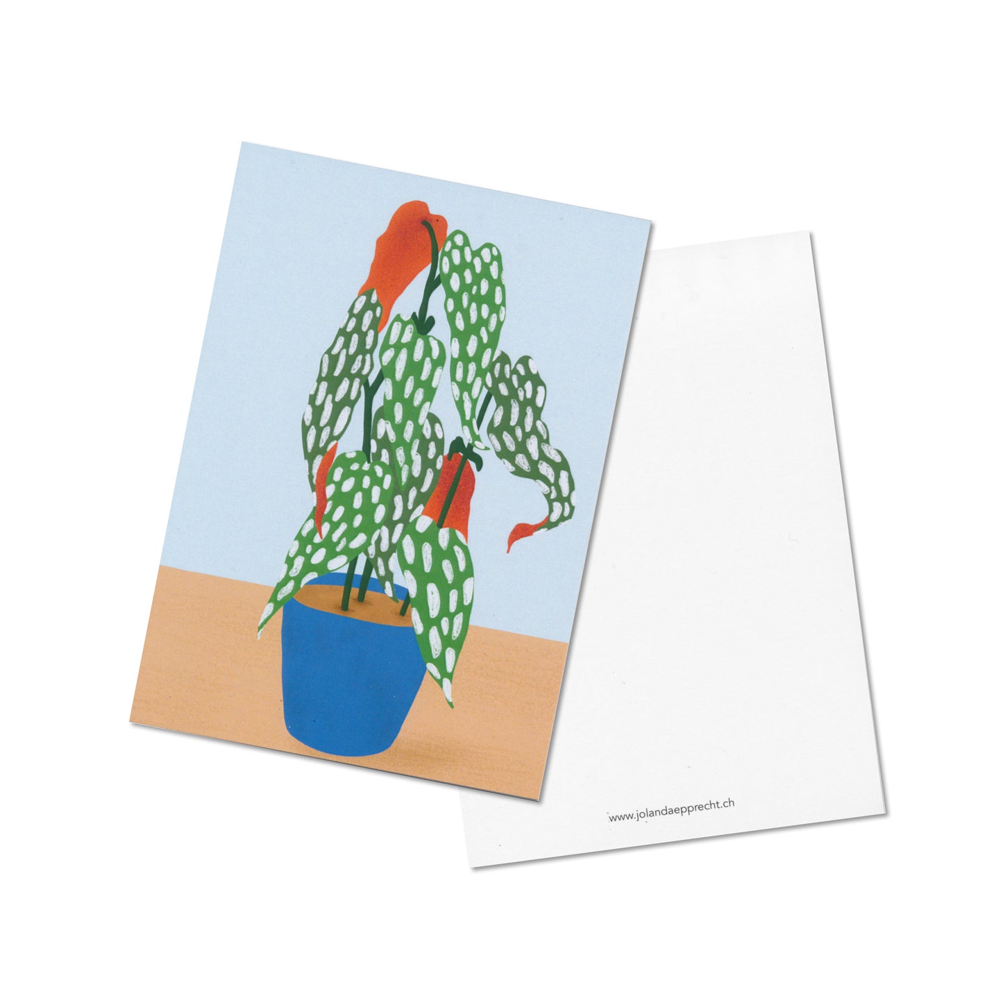 Jolanda Epprecht - Postkarte "Forellenbegonie gross" (5 Stück)