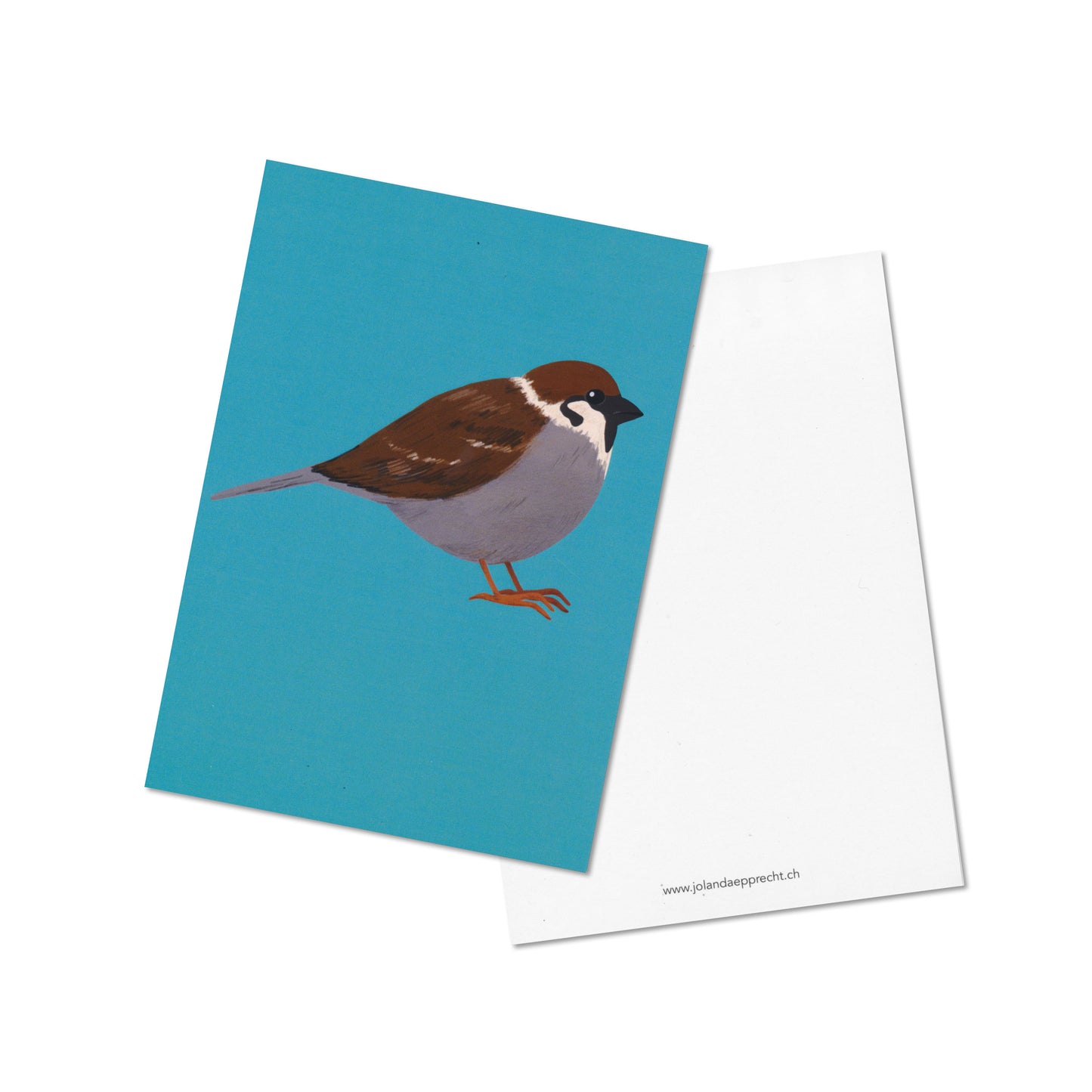 Jolanda Epprecht - Postkarte "Spatz" (5 Stück)