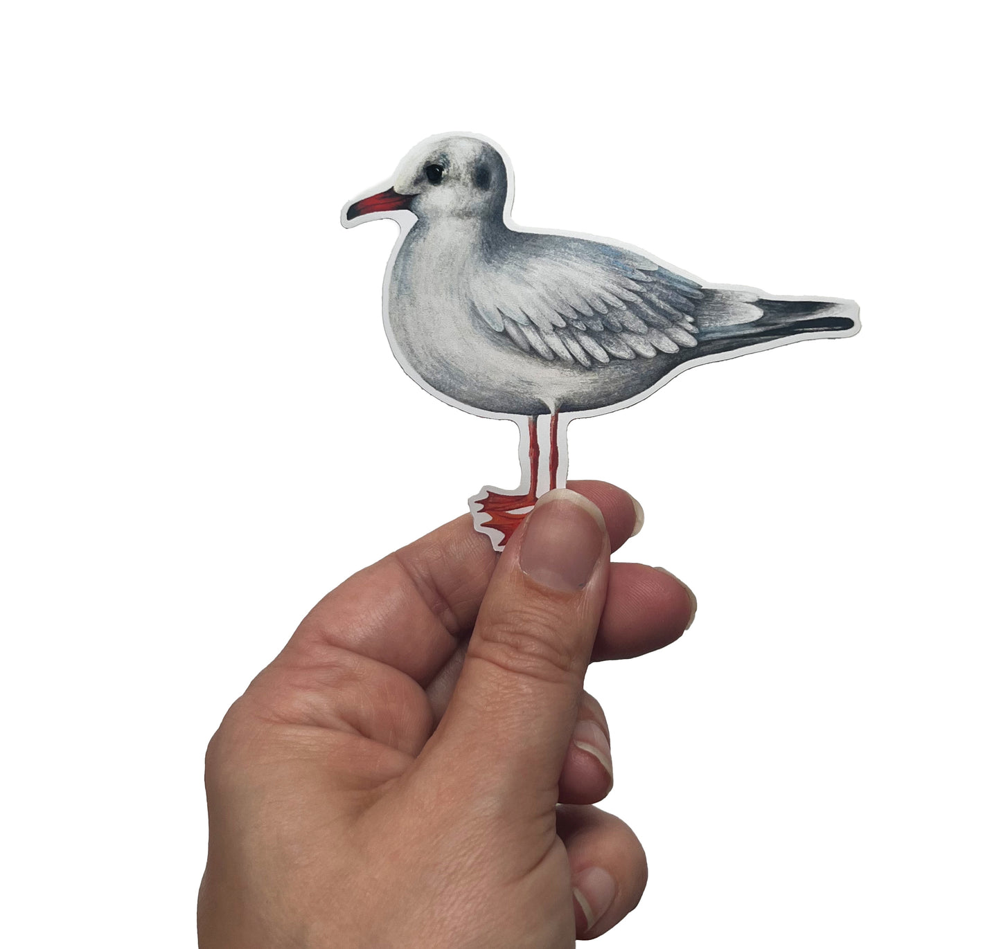 Jolanda Epprecht - Grosser Sticker "Möwe" (5 Stück)