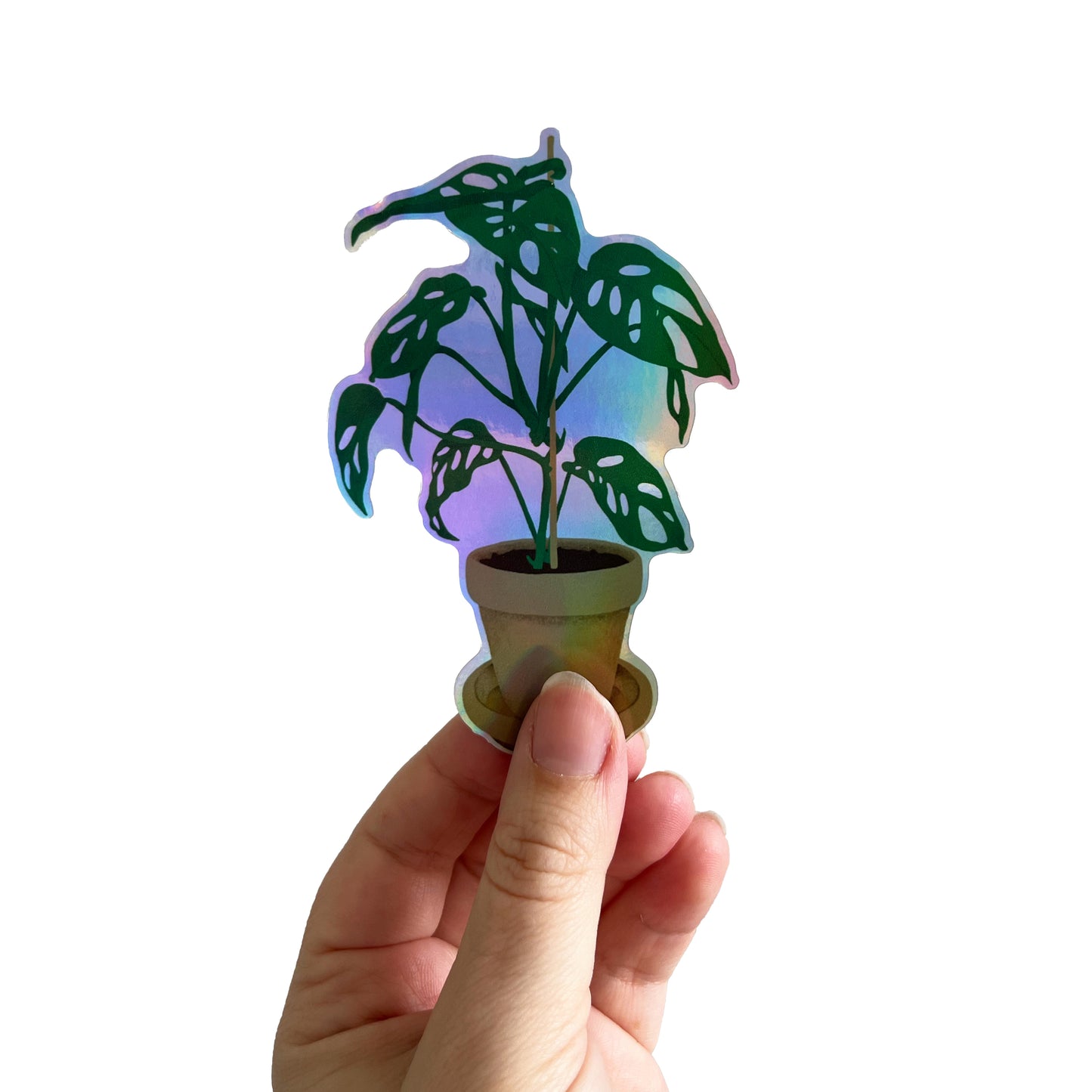 Jolanda Epprecht - Holografischer Sticker "Monstera Adansonii" (5 Stück)