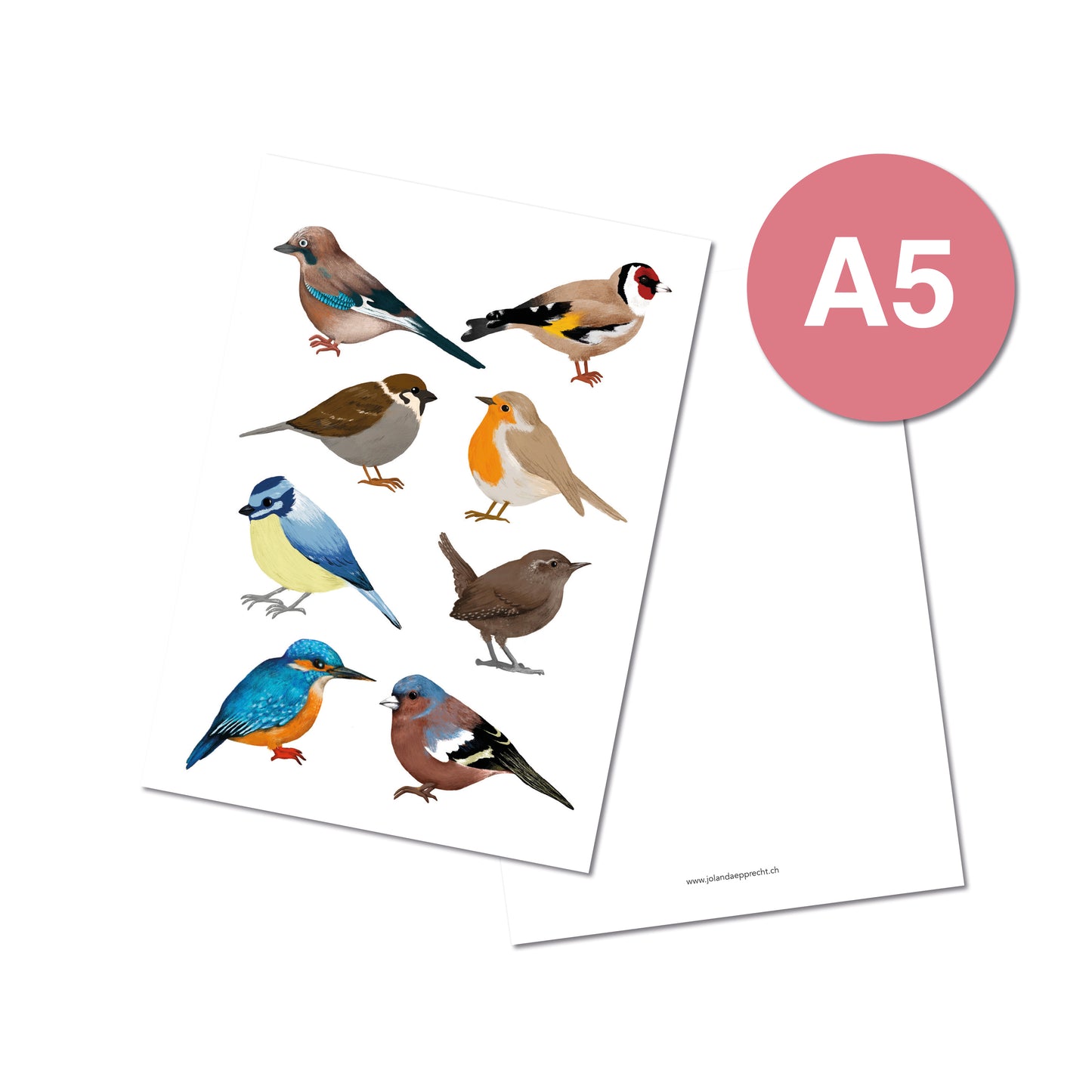 Jolanda Epprecht - Postkarte Extragross "Alle Vögel" (5 Stück)