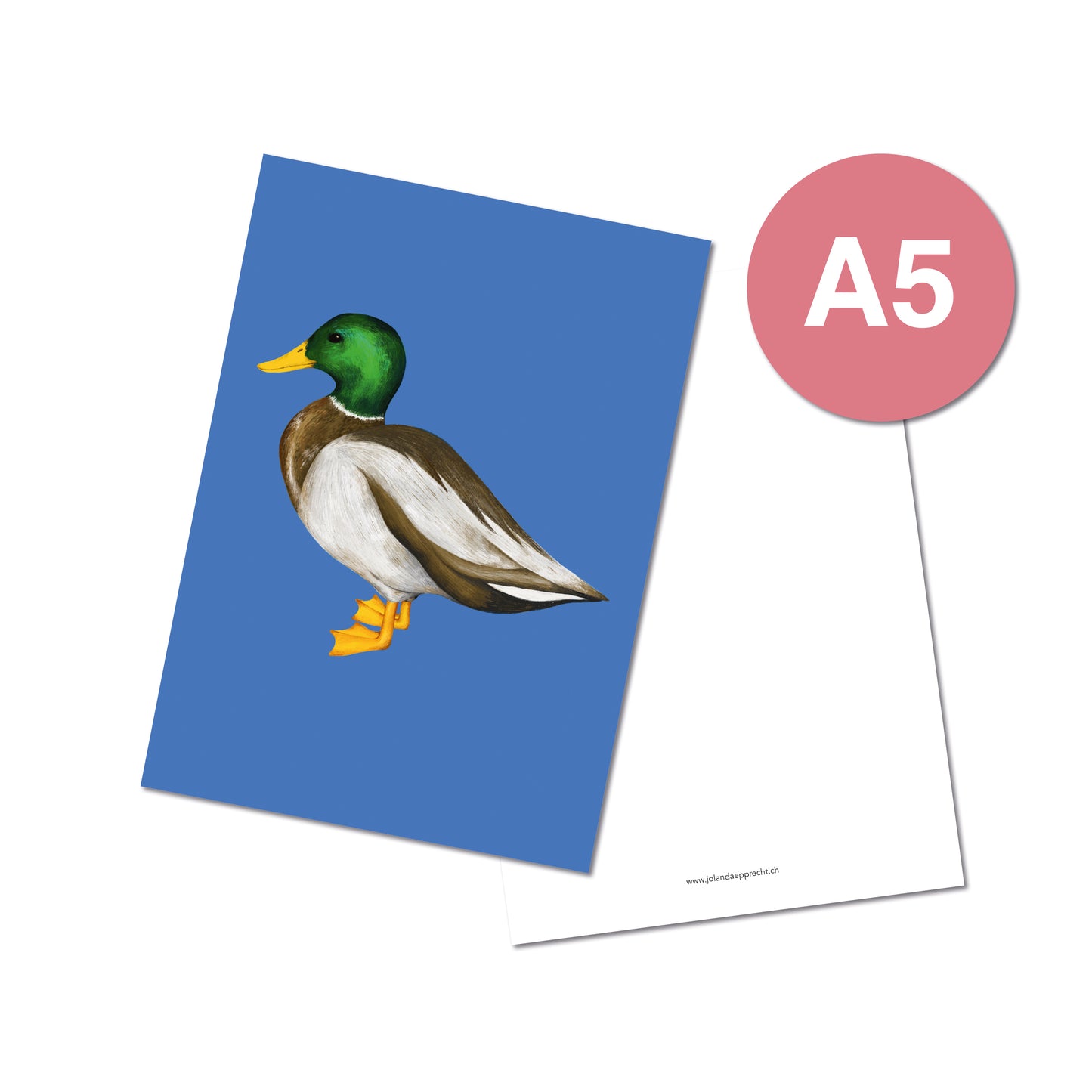 Jolanda Epprecht - Postkarte Extragross "Ente" (5 Stück)