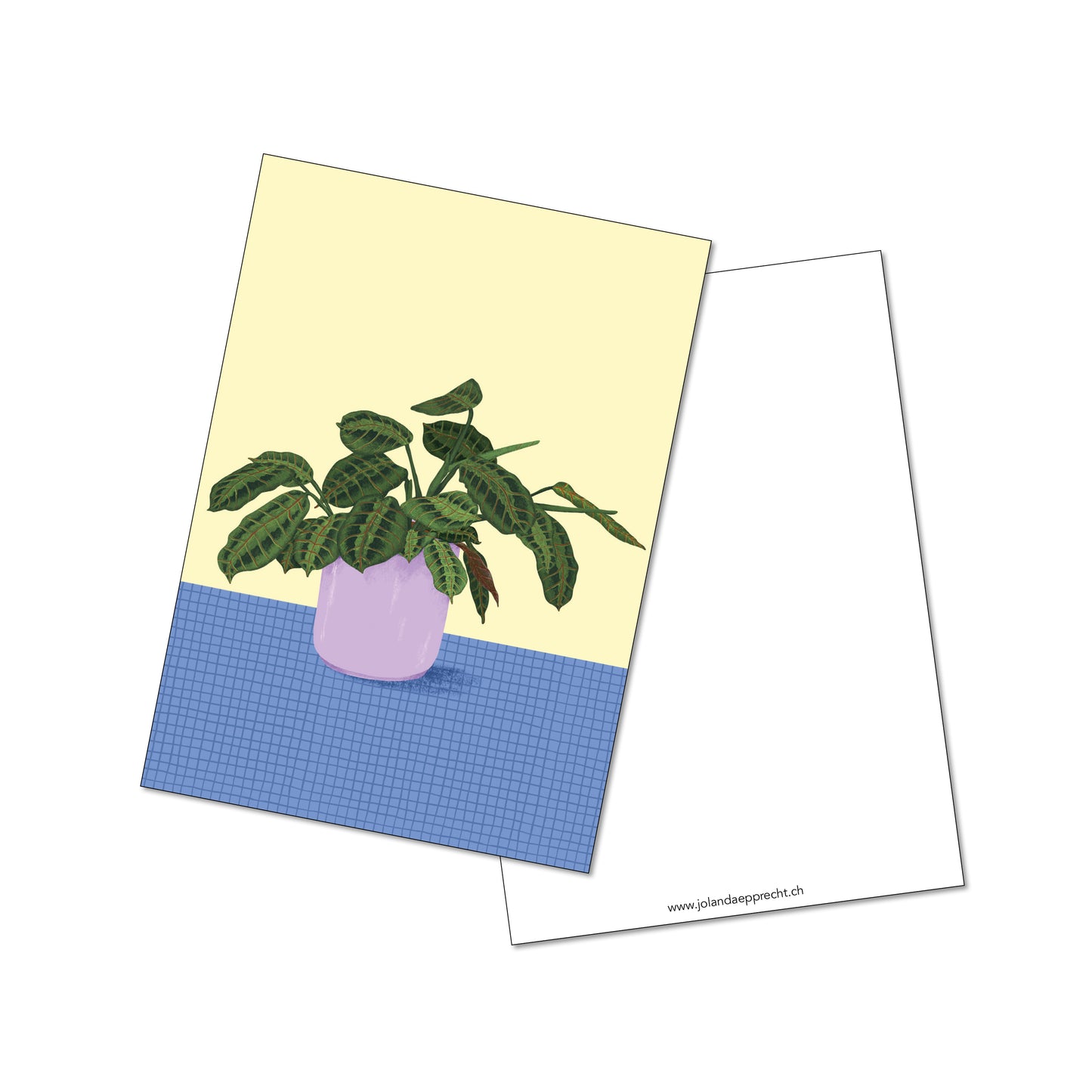 Jolanda Epprecht - Postkarte "Maranta Leuconeura" (5 Stück)