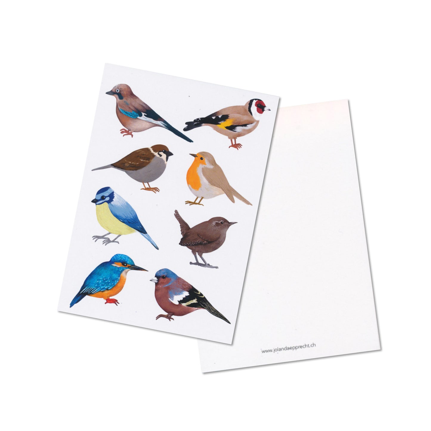 Jolanda Epprecht - Postkarte "Vögel" (5 Stück)