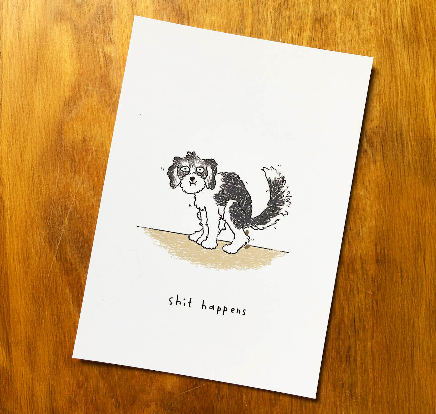 Leonie Rösler - Postkarte "Shit happens" (5 Stück)