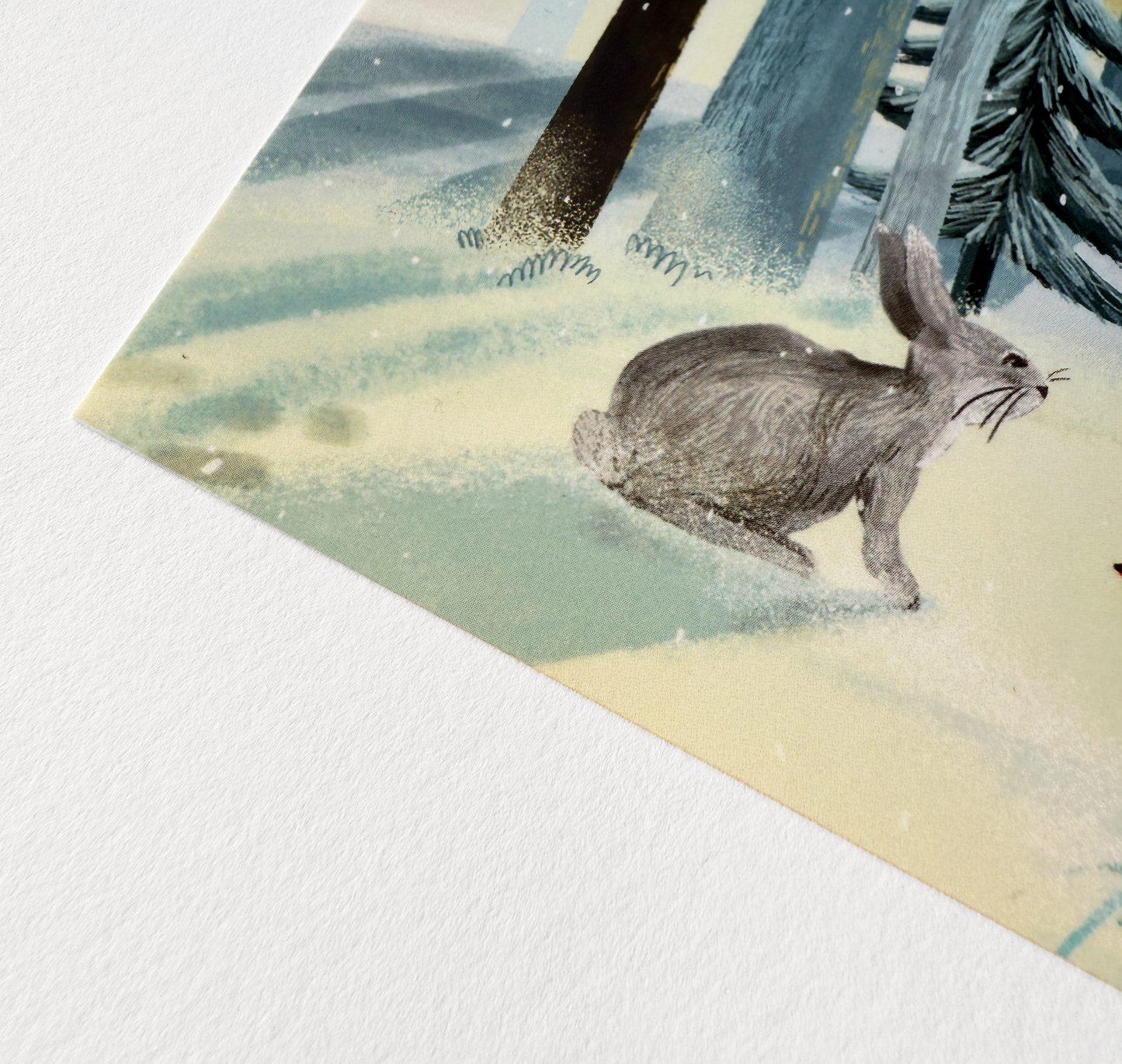 petrahilber - Postkarte "Hase im Wald" (5 Stück)