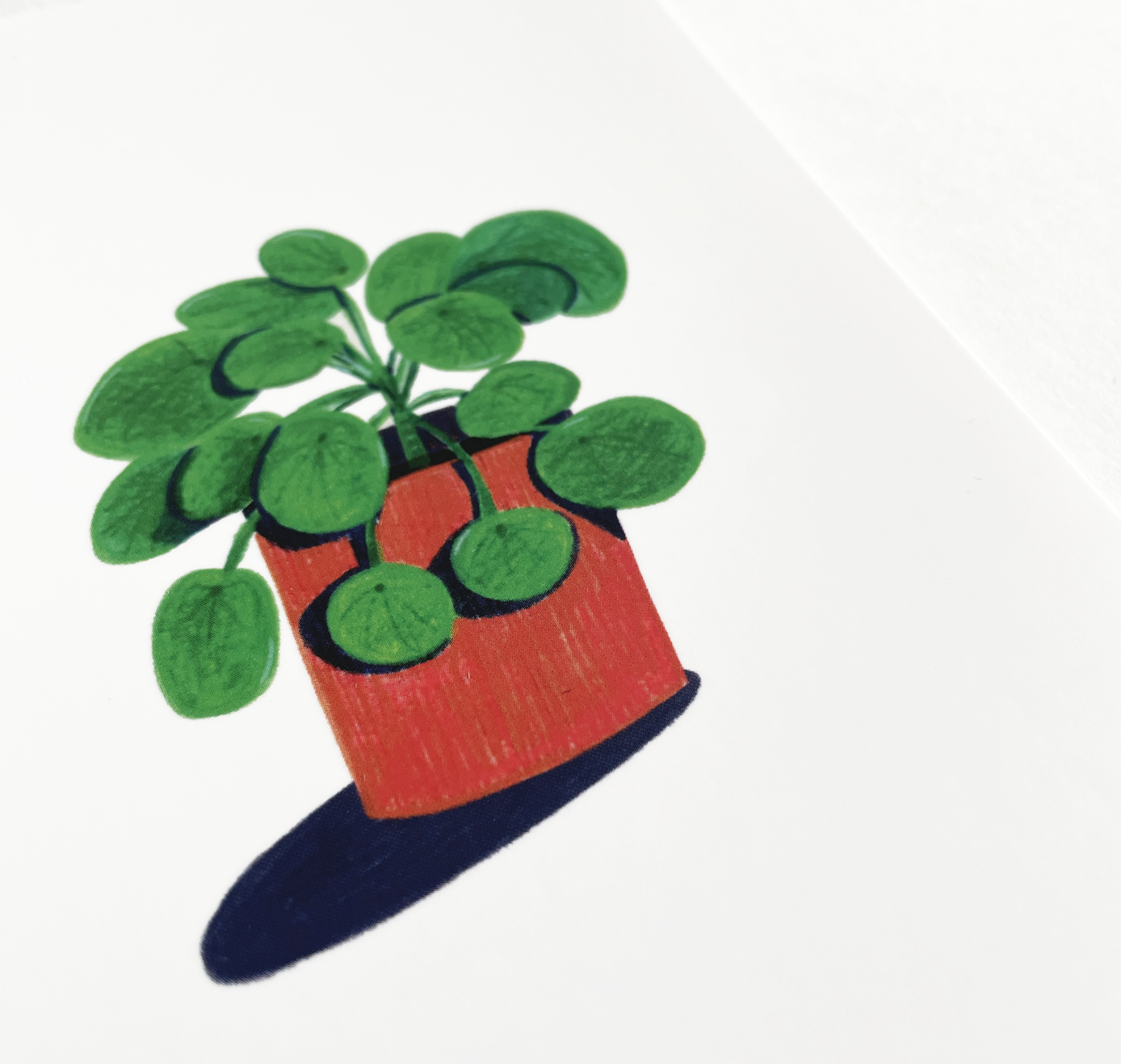 petrahilber - Postkarte "Pilea" (5 Stück)