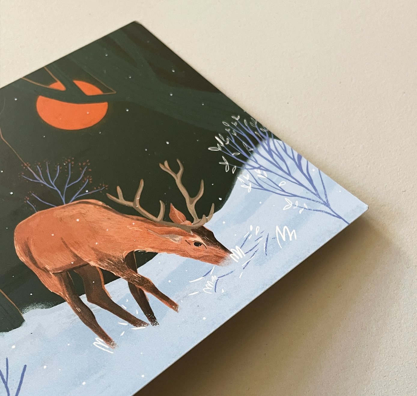 petrahilber - Postkarte "Hirsch im Wald" (5 Stück)