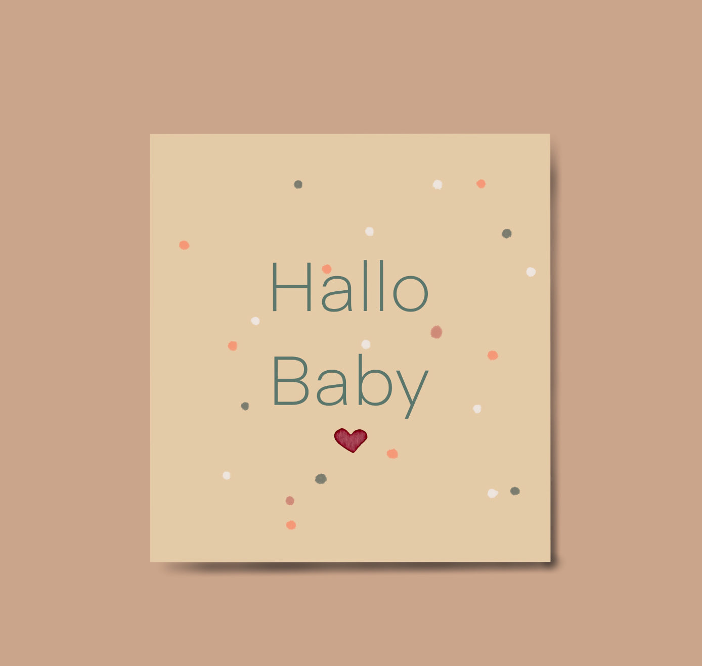 Karin Lena Schmid - Album für das erste Lebensjahr "Hallo Baby" (5 Stück)