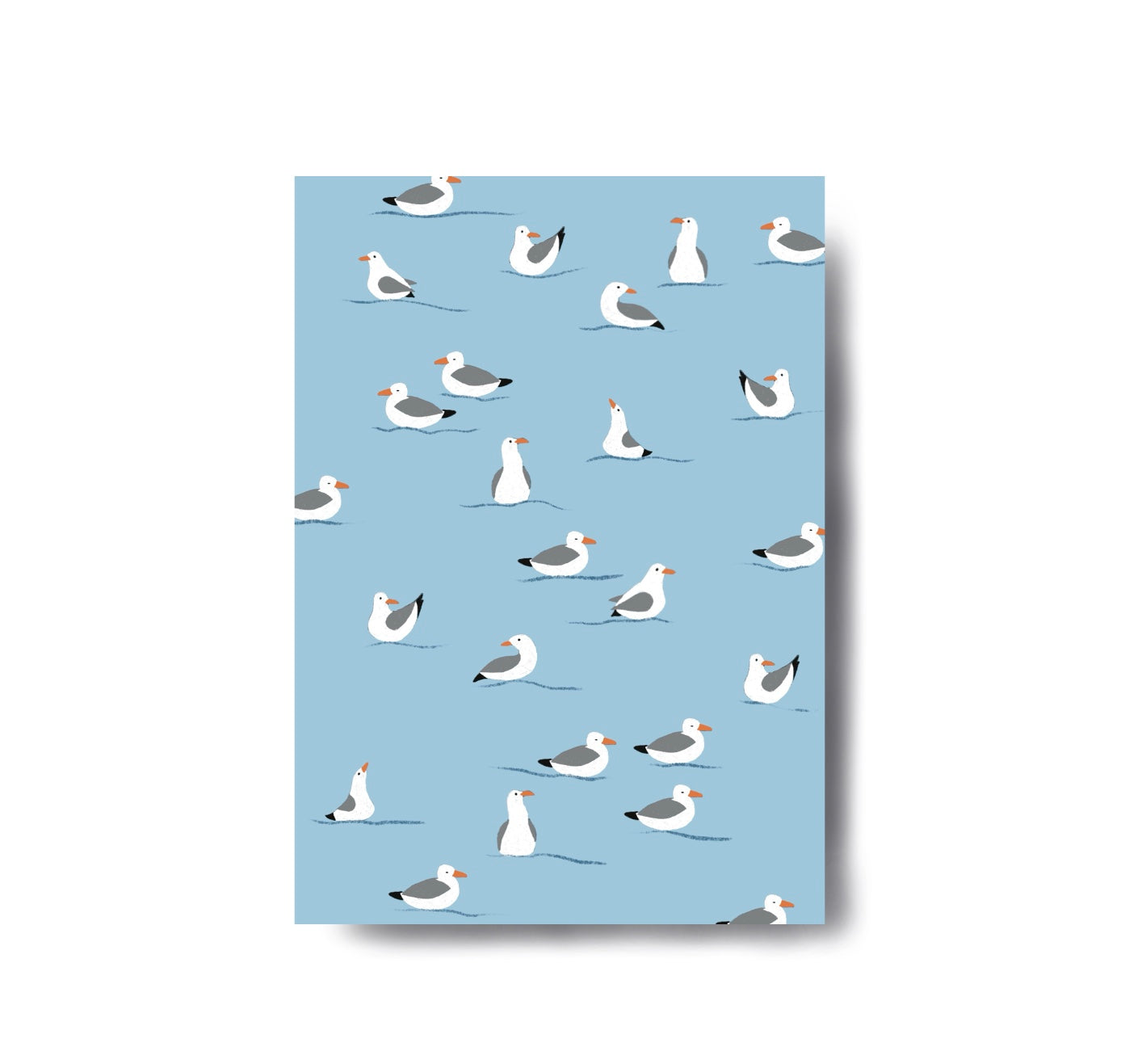 Karin Lena Schmid - Postkarte "Möwen" (5 Stück)