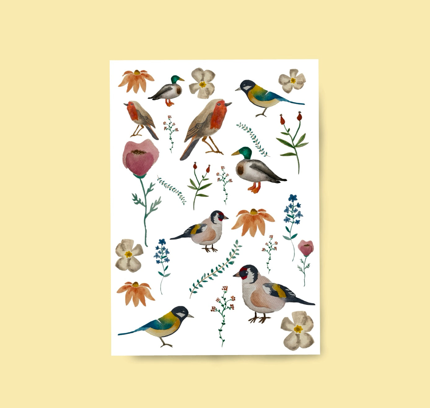 Karin Lena Schmid - Postkarte "Diverse Aquarellvögel" (5 Stück)