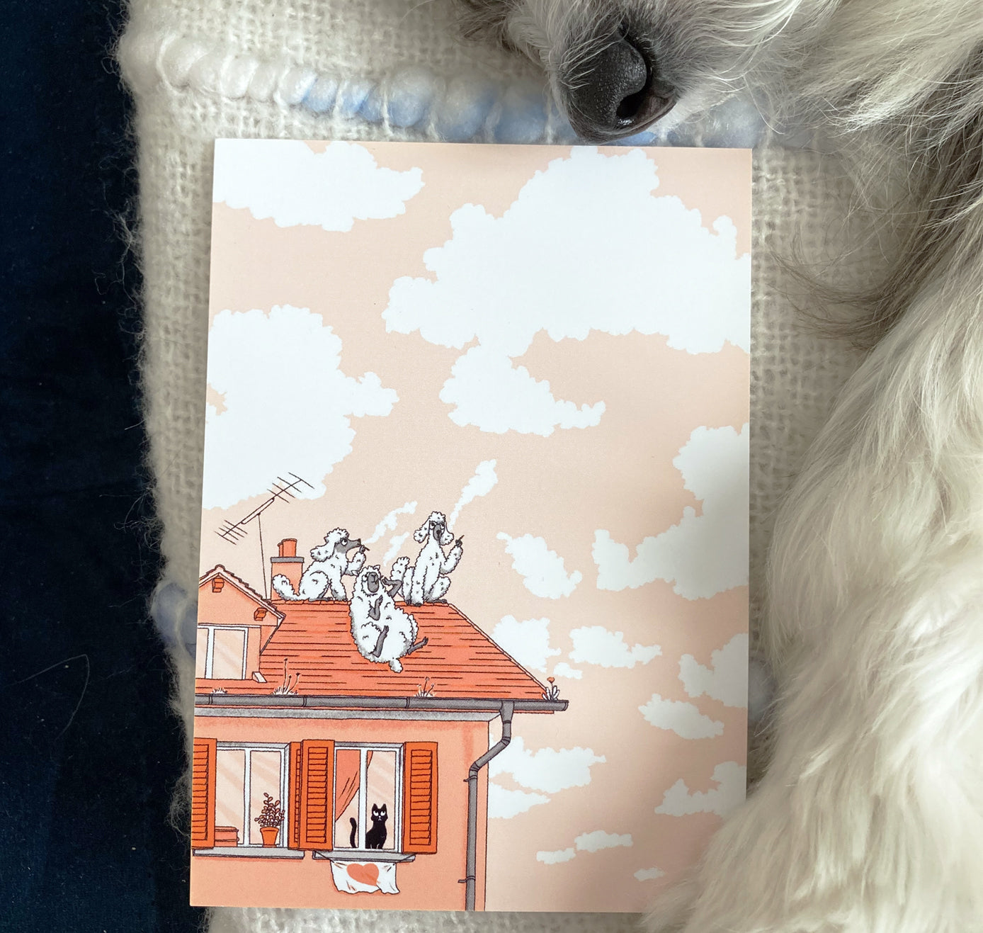 Leonie Rösler - Postkarte "Fluffige Freunde" (5 Stück)