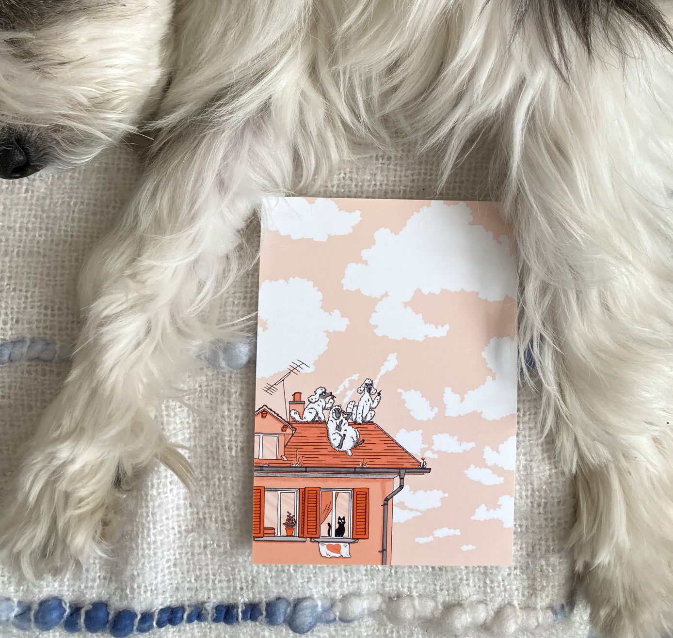 Leonie Rösler - Postkarte "Fluffige Freunde" (5 Stück)