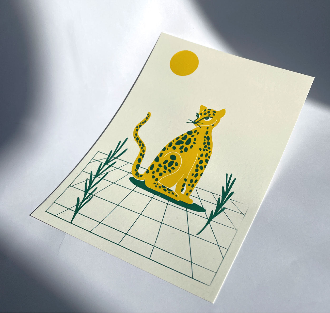 petrahilber - Kartenset "Gepard" (5 Stück)