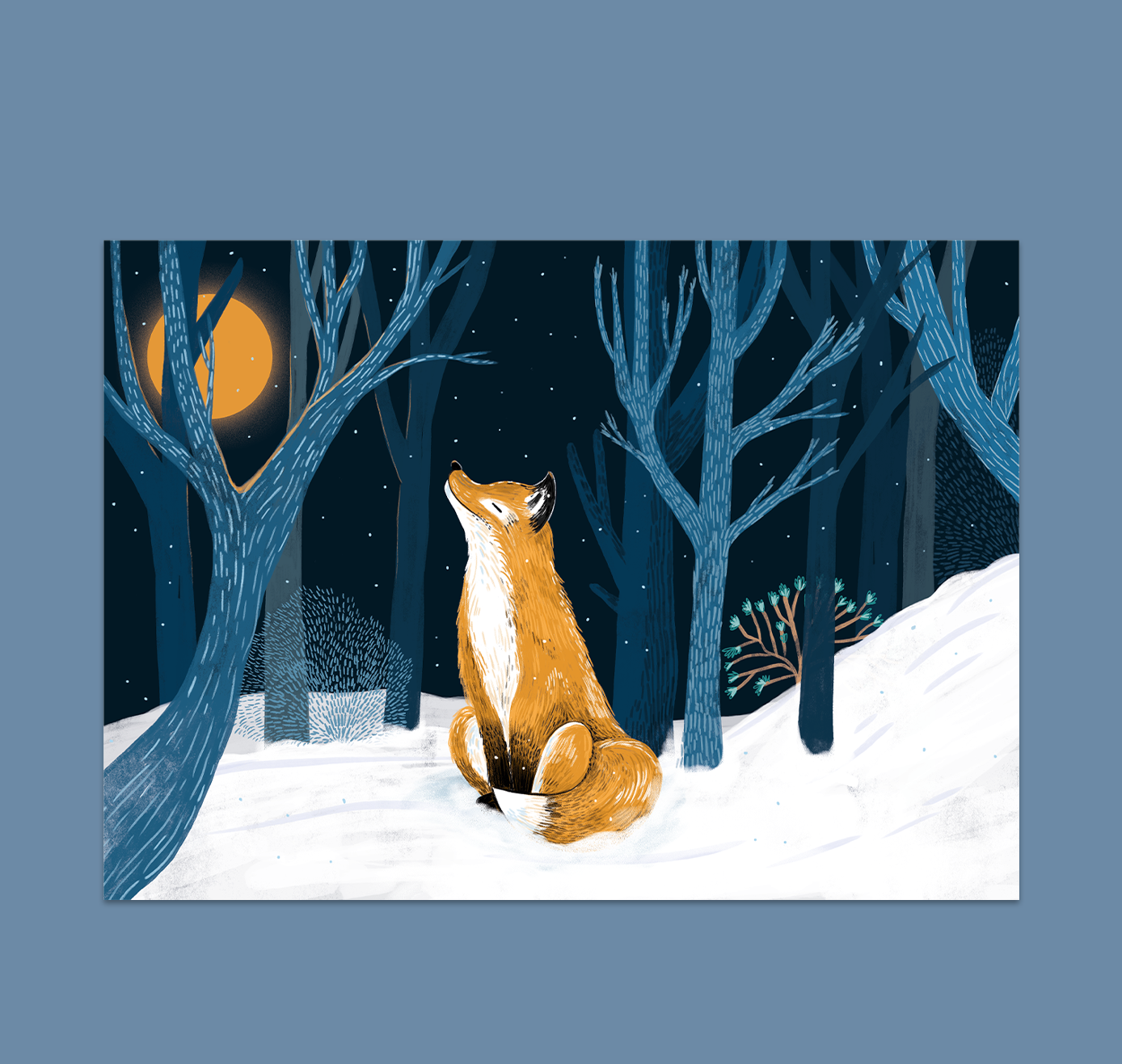 petrahilber - Postkarte "Fuchs im Wald" (5 Stück)