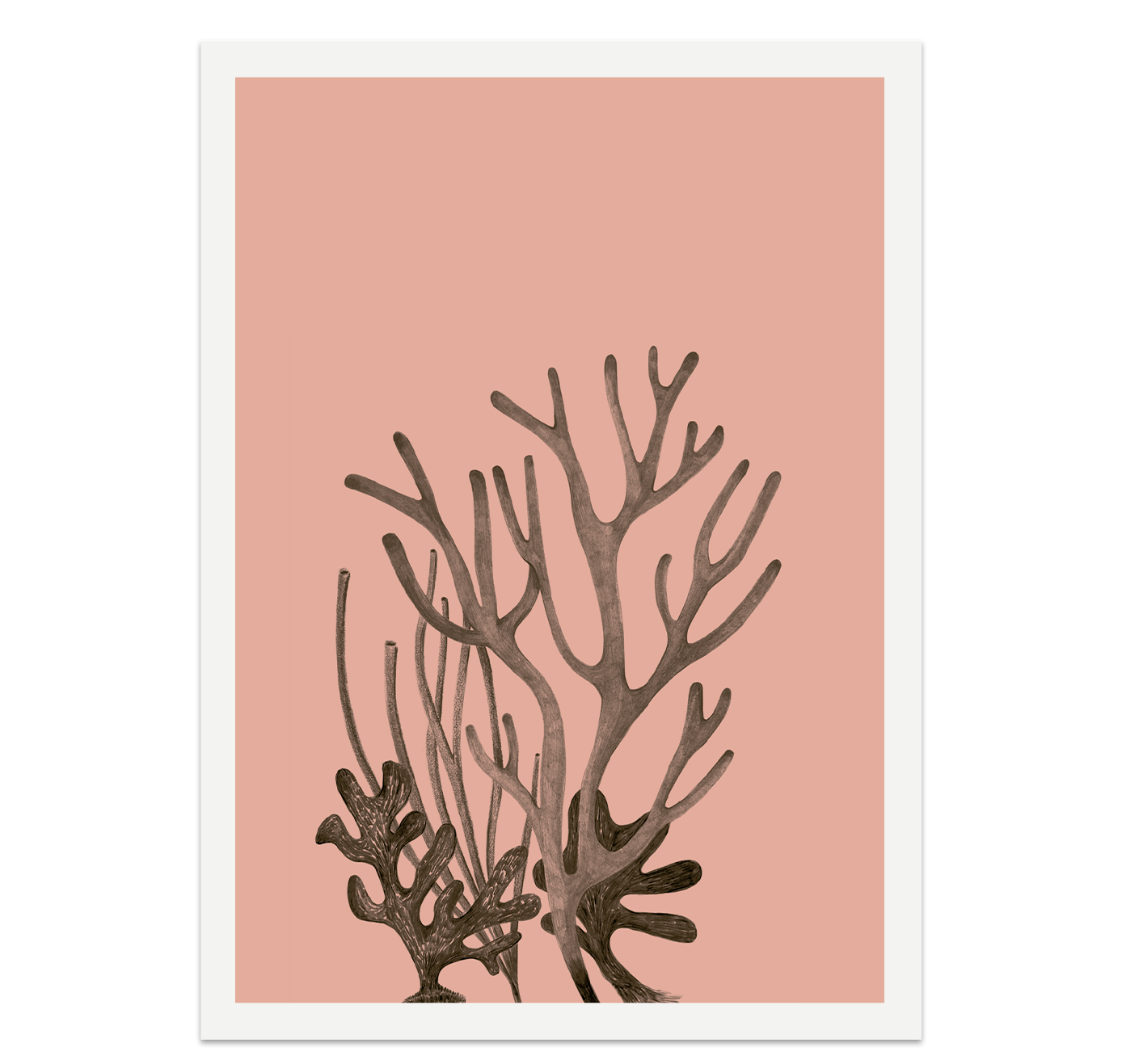 petrahilber - Postkartenset "Korallen" (5 Stück)