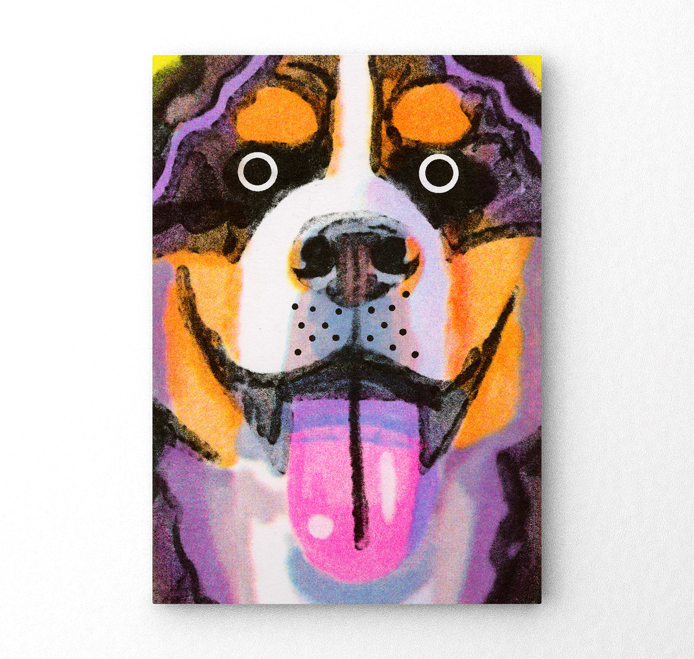 Plundernase - Postkartenset "Hund" (5 Stück)