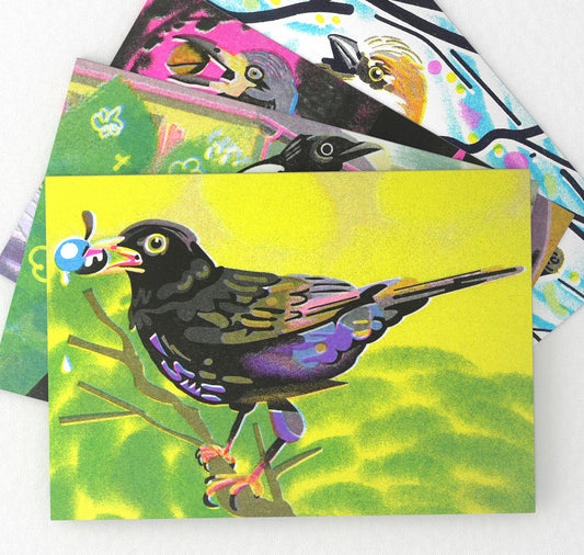 Plundernase - Postkartenset "Vogel" (5 Stück)