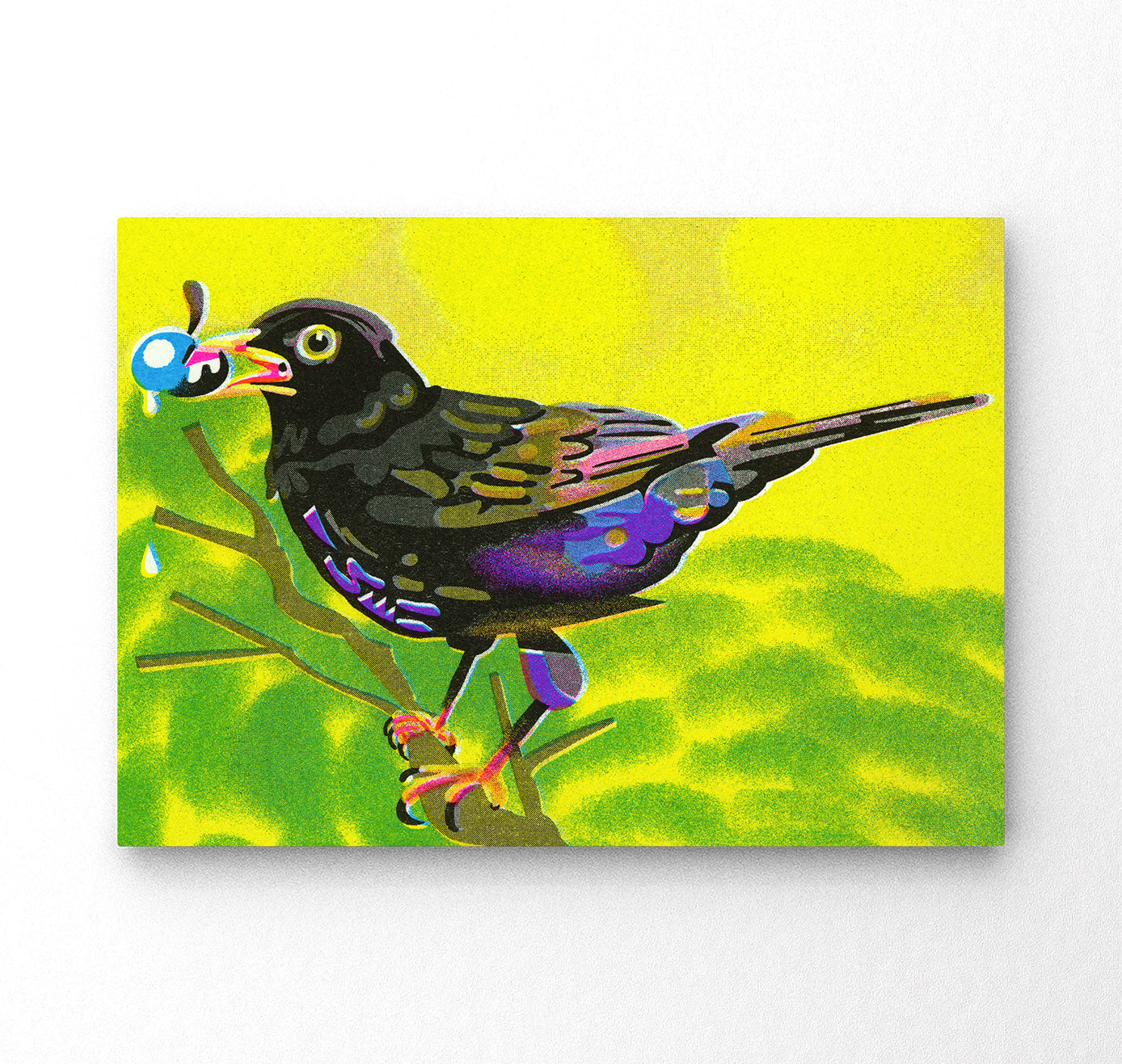 Plundernase - Postkartenset "Vogel" (5 Stück)