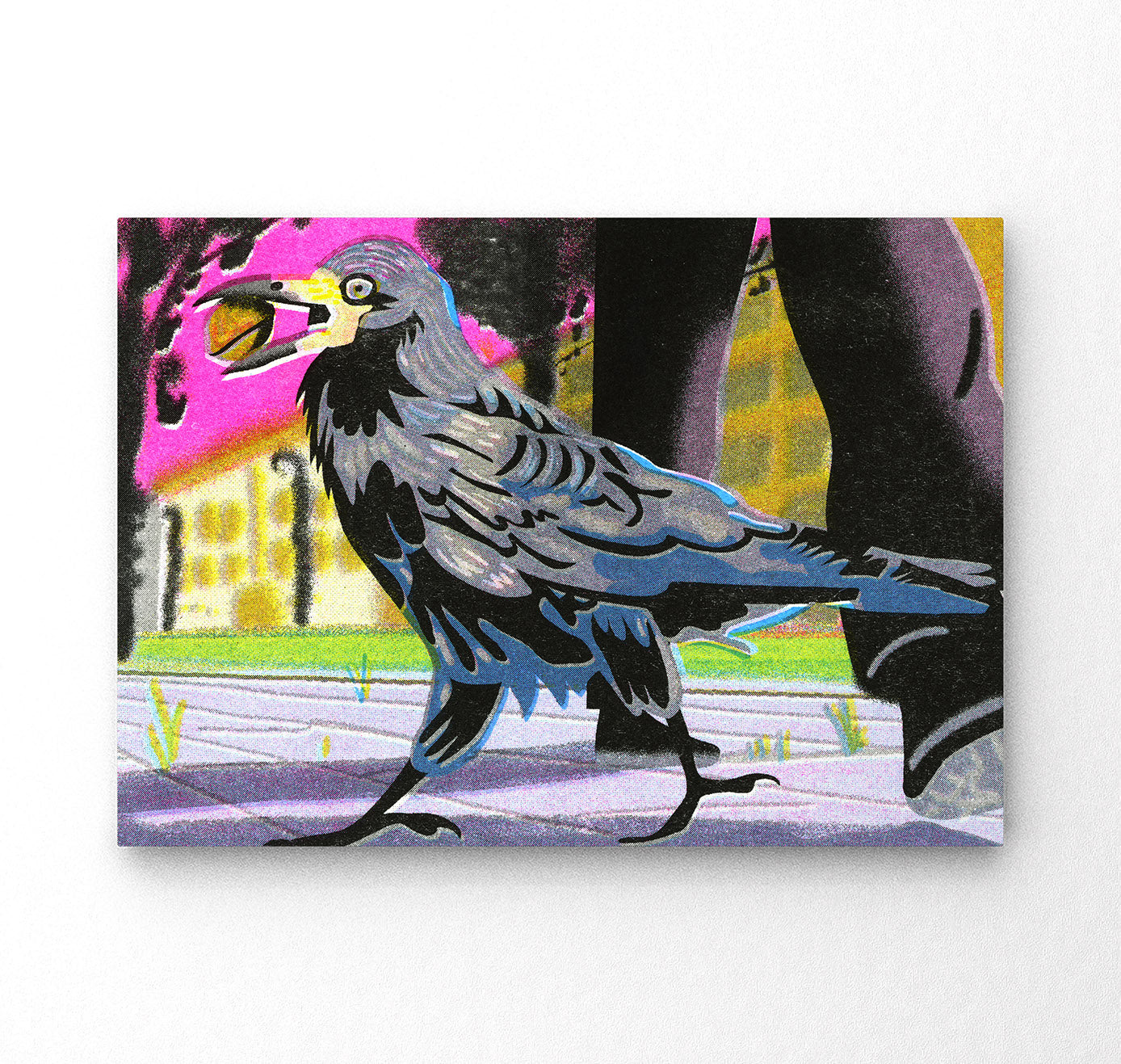 Plundernase - Postkartenset "Vogel" (5 Stück)