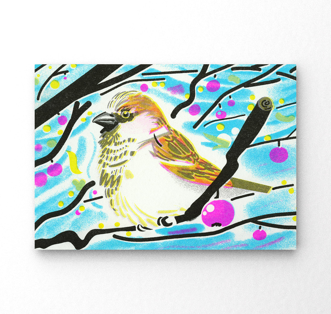 Plundernase - Postkartenset "Vogel" (5 Stück)