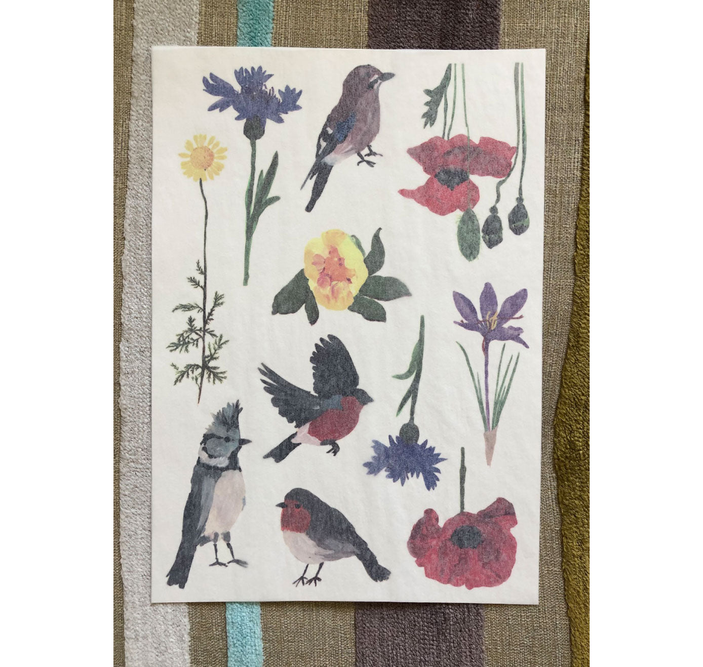 Valerie Lipscher - Temporär Tattoo-Serie Swiss Garden "Spittelgass" (5 Stück)
