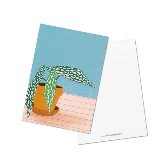 Jolanda Epprecht - Postkarte "Forellenbegonie klein" (5 Stück)