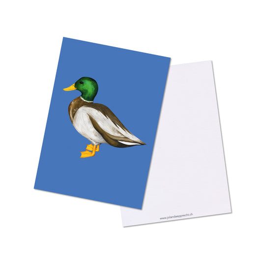 Jolanda Epprecht - Postkarte "Ente"