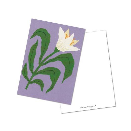 Jolanda Epprecht - Postkarte "Lilie" (5 Stück)