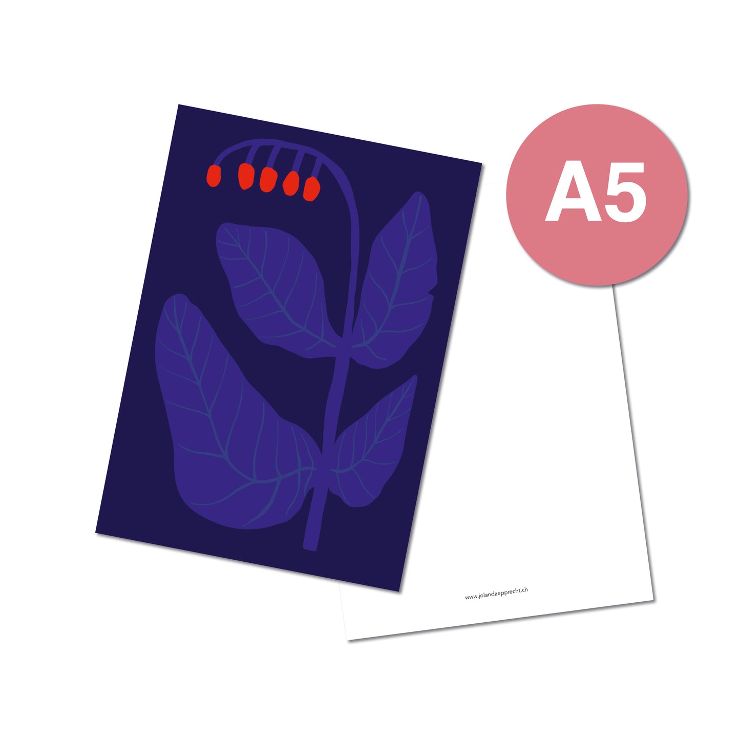 Jolanda Epprecht - Postkarte Extragross "Blume Blau Rot" (5 Stück)