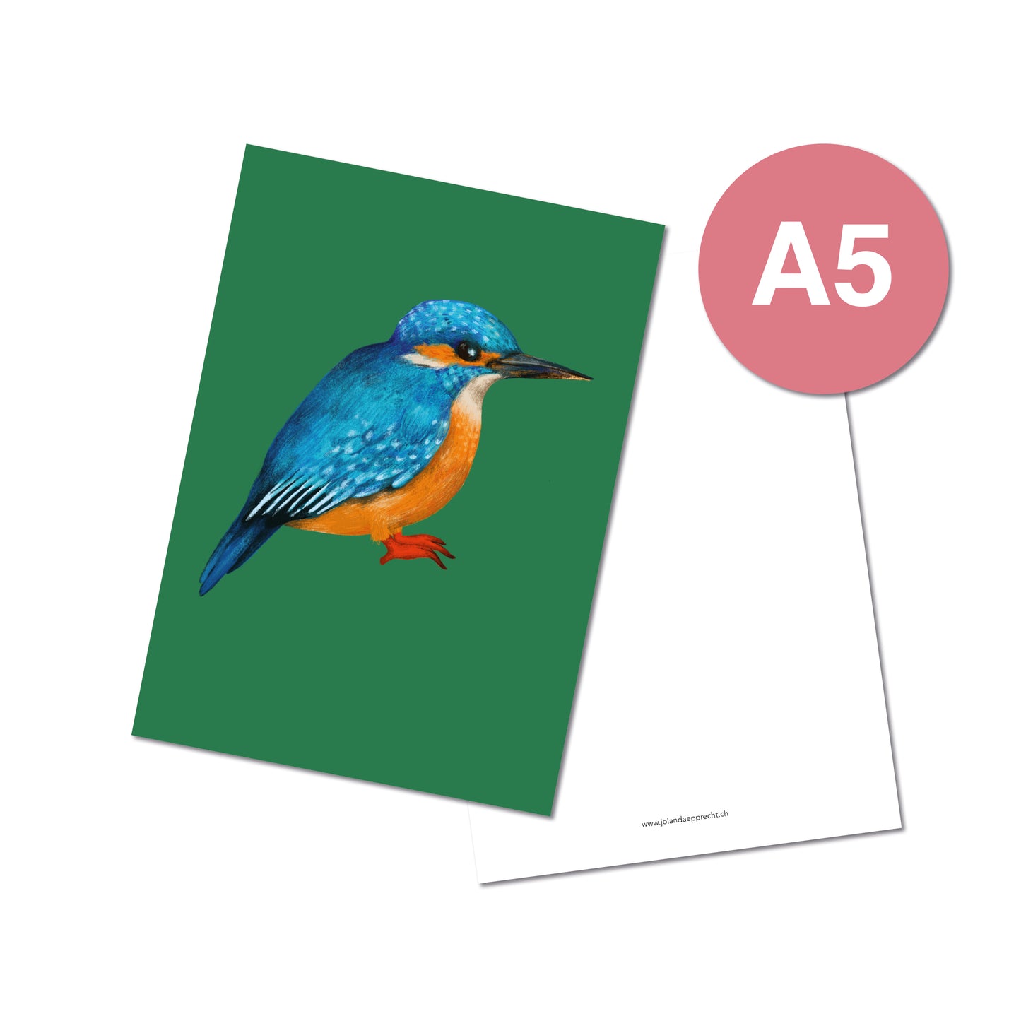 Jolanda Epprecht - Postkarte Extragross "Eisvogel" (5 Stück)