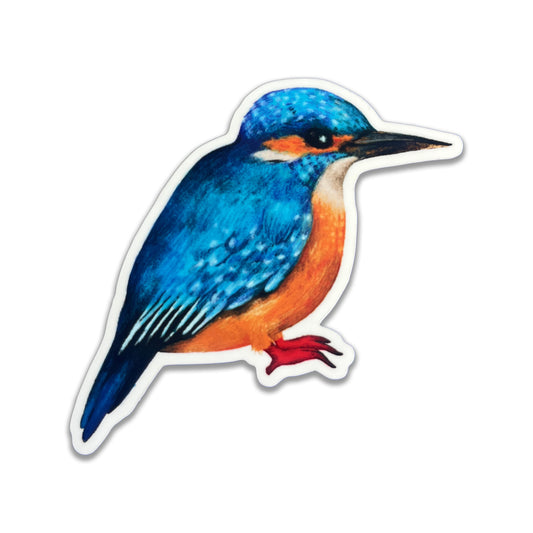 Jolanda Epprecht - Sticker "Eisvogel" (5 Stück)