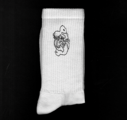 studio kollygujer - Socken "Fleugen" (6 Stück)