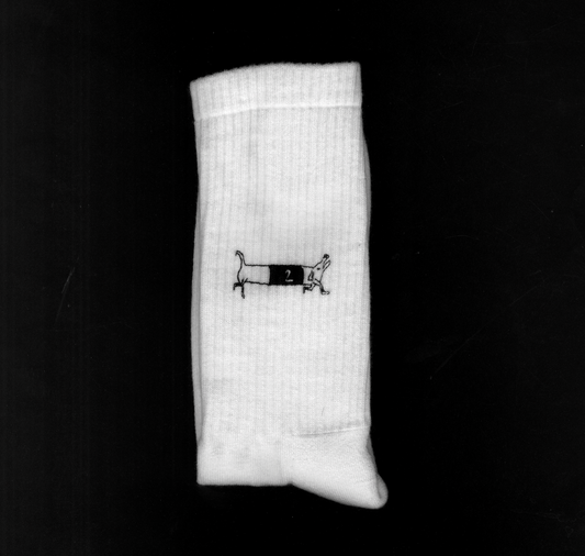 studio kollygujer - Socken "Rennhund" (6 Stück)